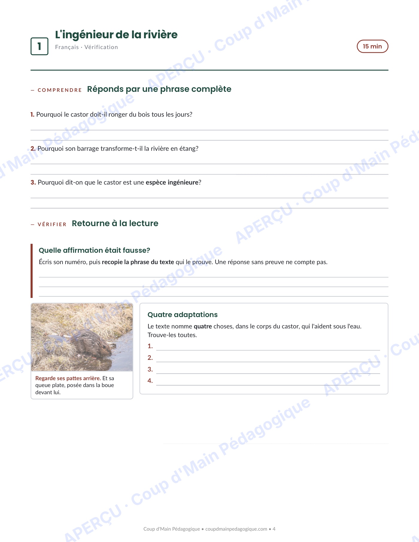 Page 4 — Journée de suppléance 1 — 4e année, les habitats