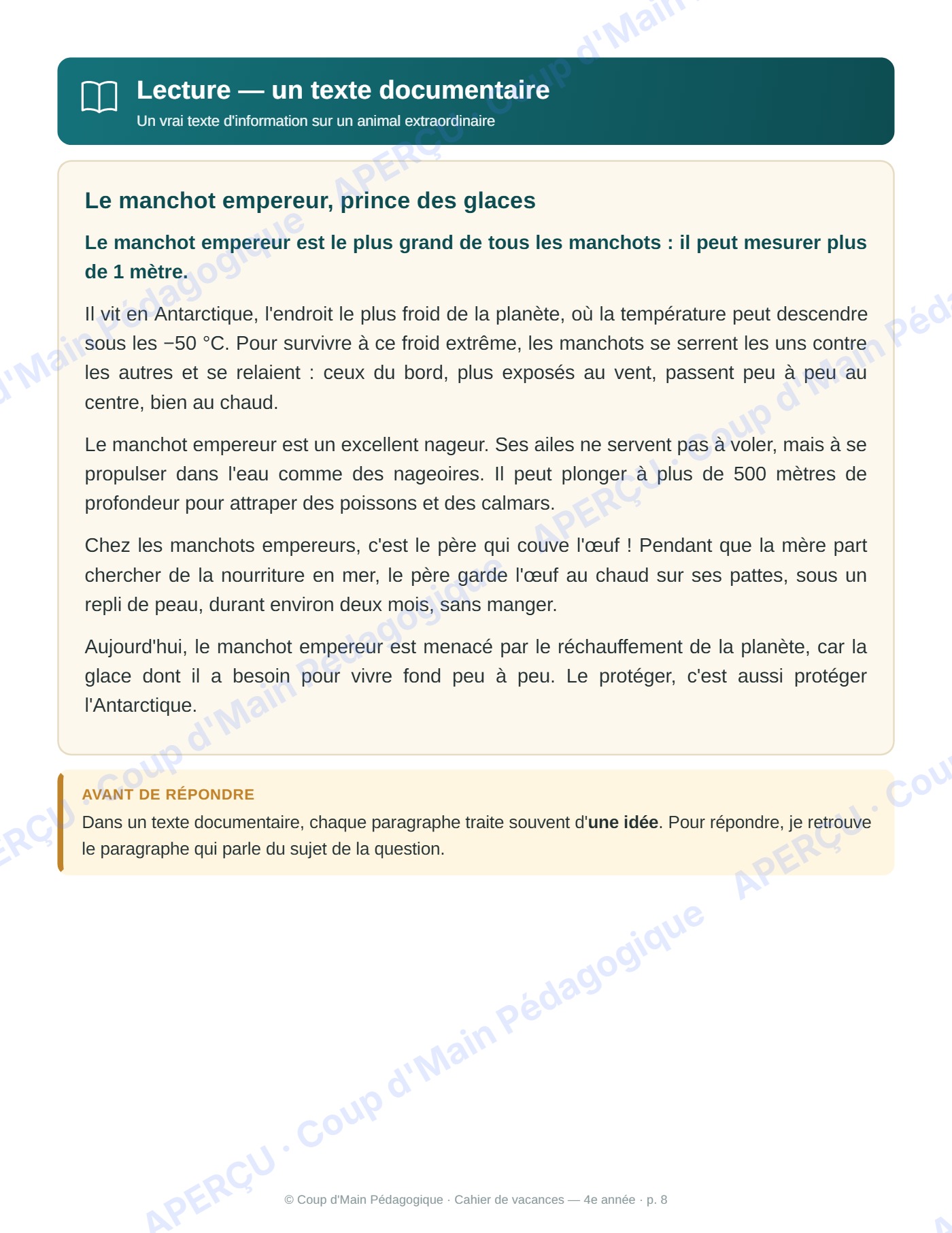 Page 8 — Cahier de vacances — 4e année, tour du monde
