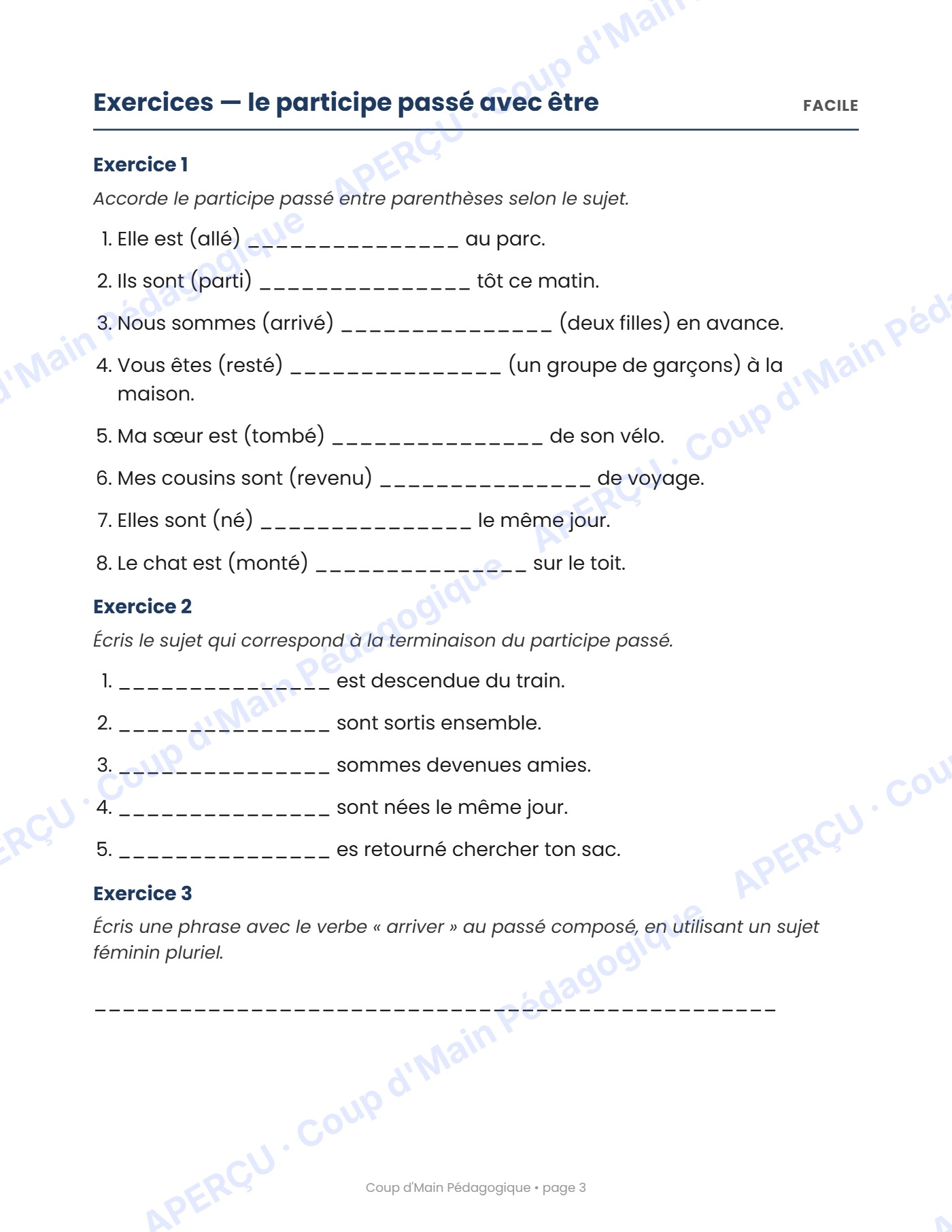 Page 3 — L'accord du participe passé — 6e année, cahier