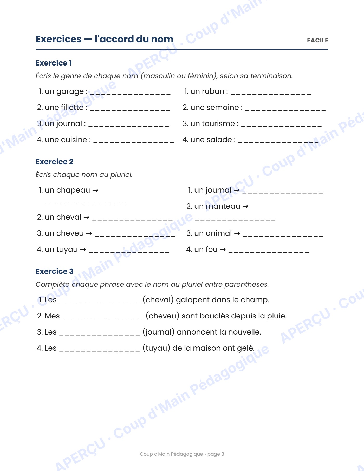 Page 3 — Les accords dans la phrase — 5e année, cahier