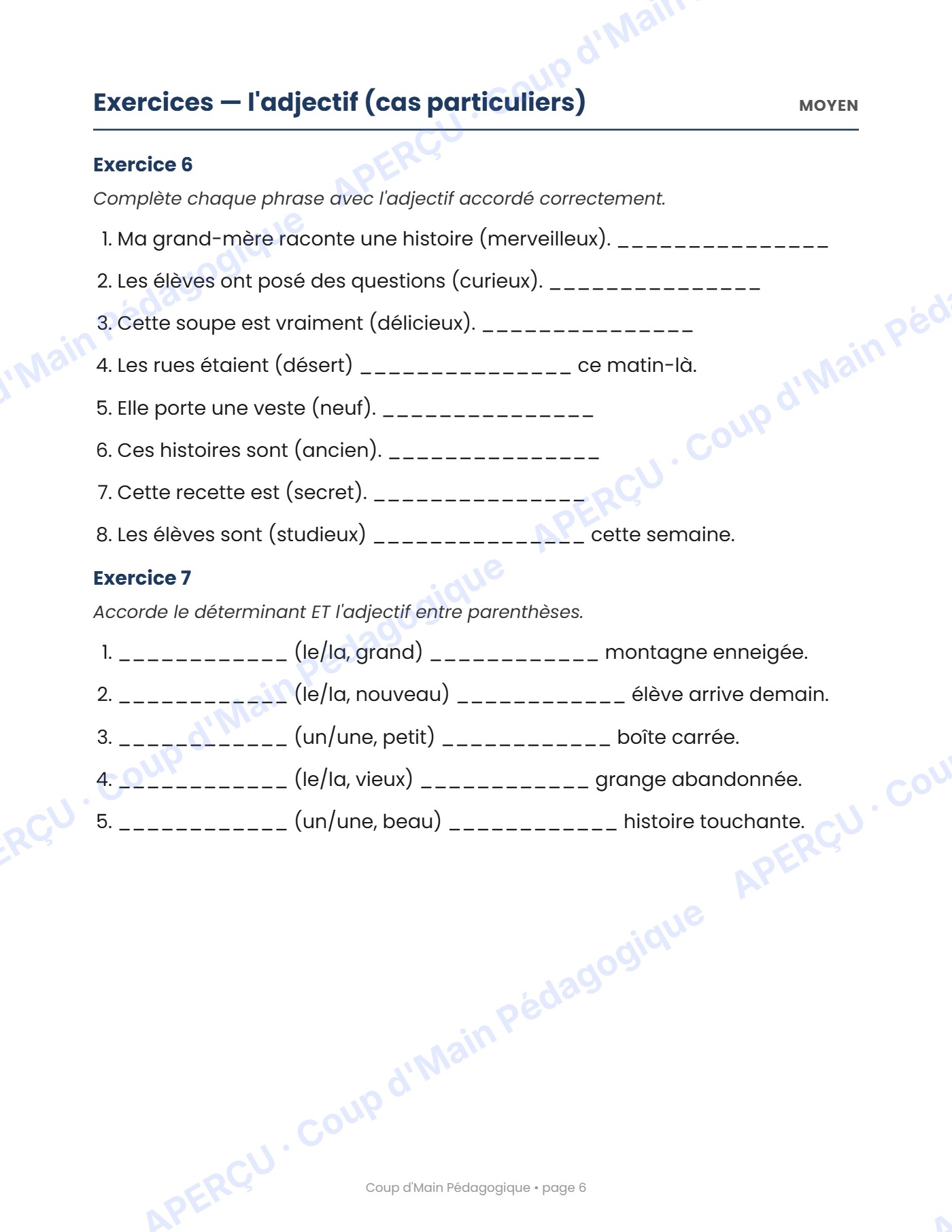 Page 6 — Les accords dans la phrase — 5e année, cahier