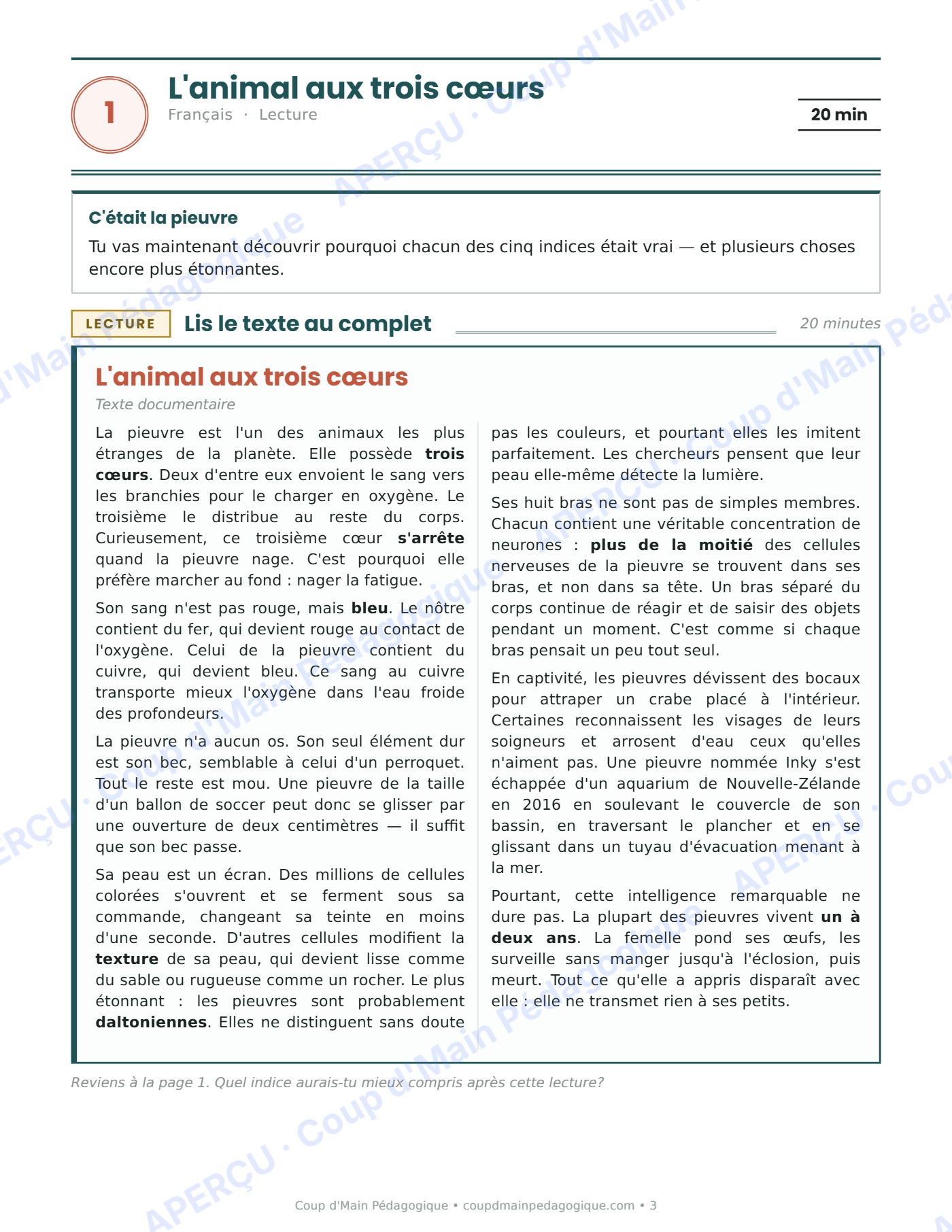 Page 3 — Journée de suppléance 1 — 5e année, la pieuvre