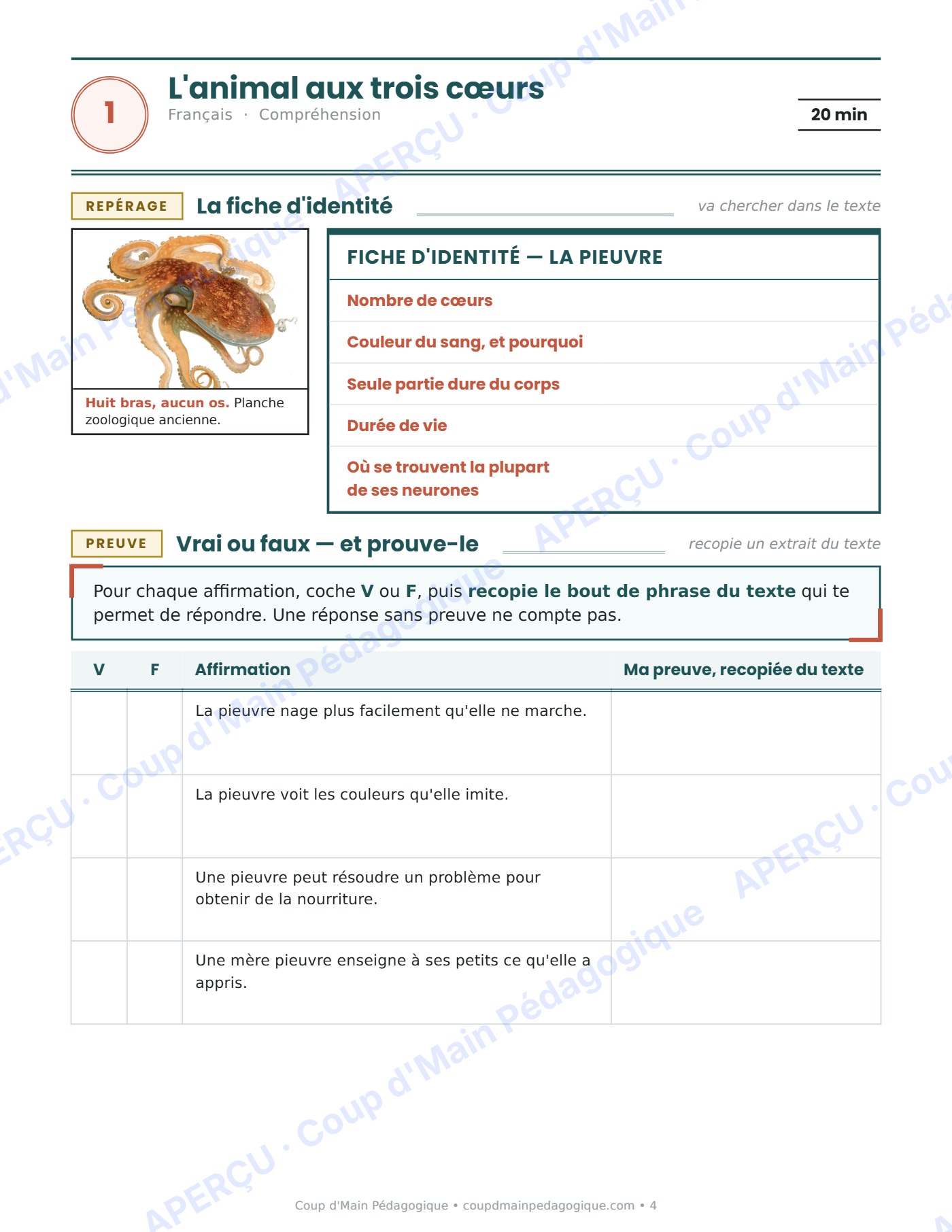 Page 4 — Journée de suppléance 1 — 5e année, la pieuvre