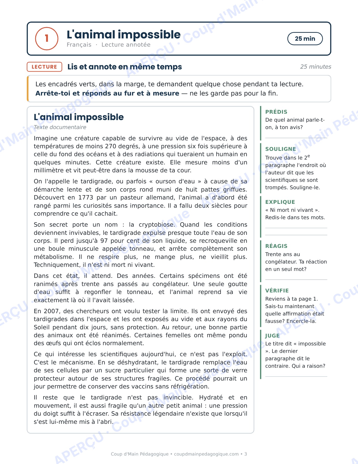 Page 3 — Journée de suppléance 1 — 6e année, le tardigrade