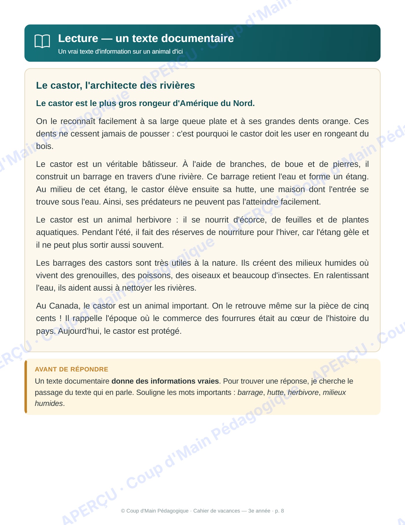Page 8 — Cahier de vacances — 3e année