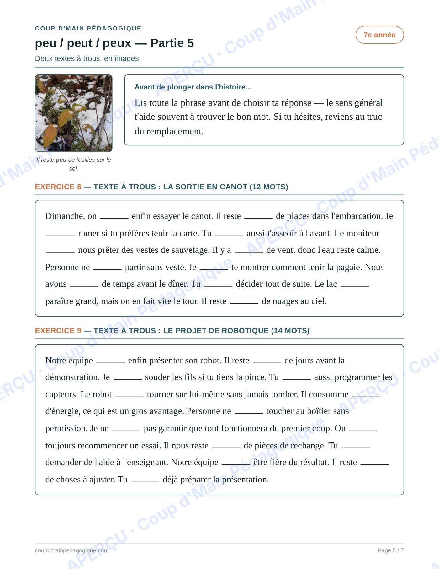 Page 5 — Les homophones peu/peut/peux — 7e année, fiche