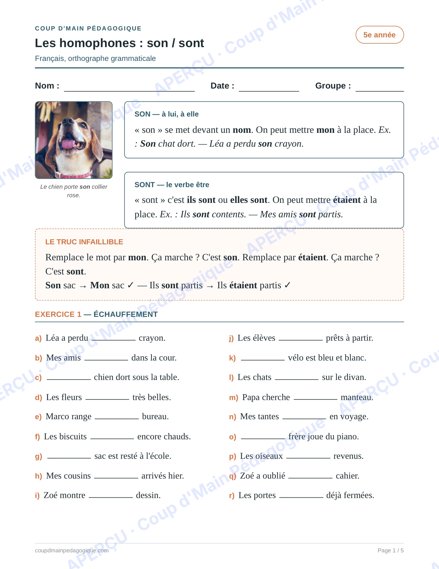 Page 1 — Les homophones son/sont — 5e année, fiche