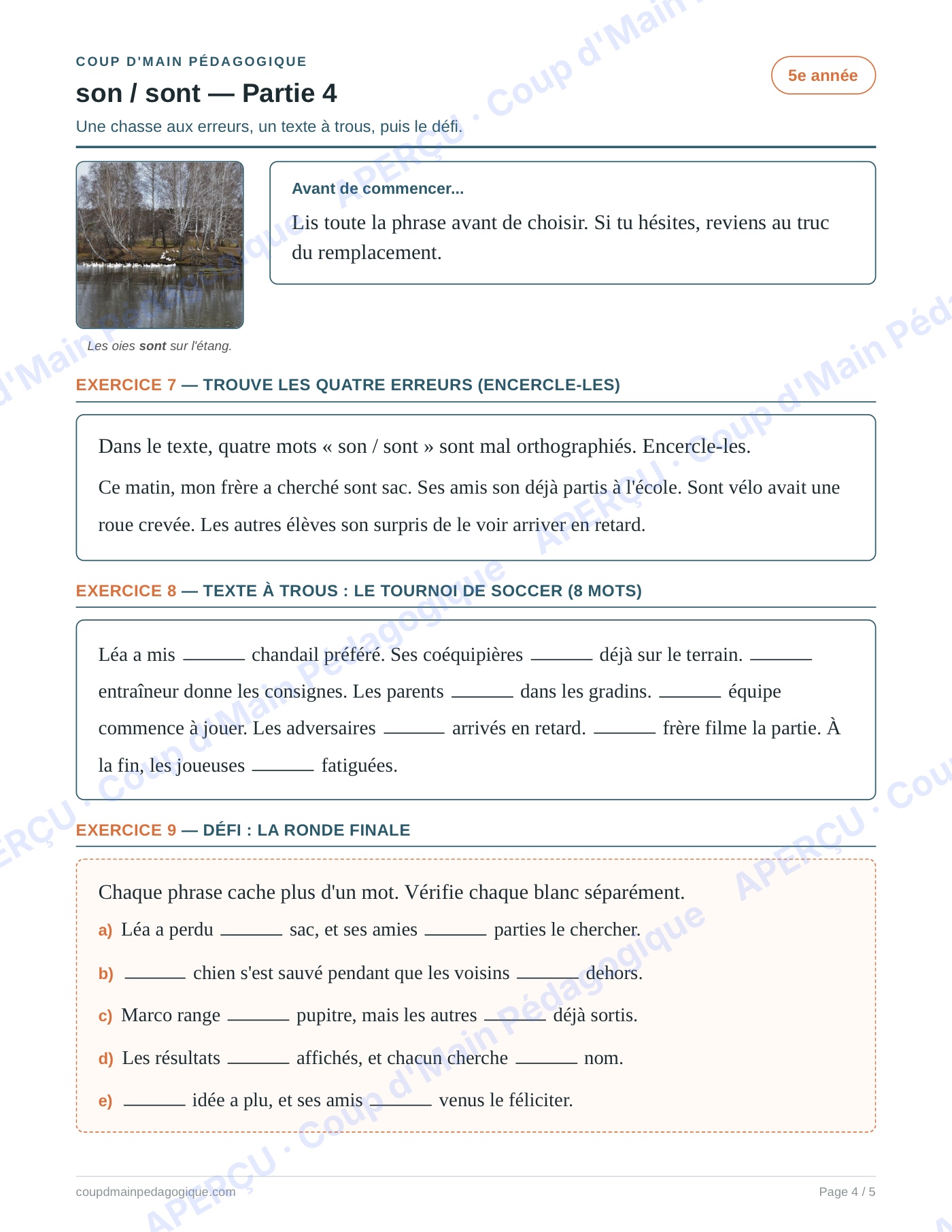 Page 4 — Les homophones son/sont — 5e année, fiche