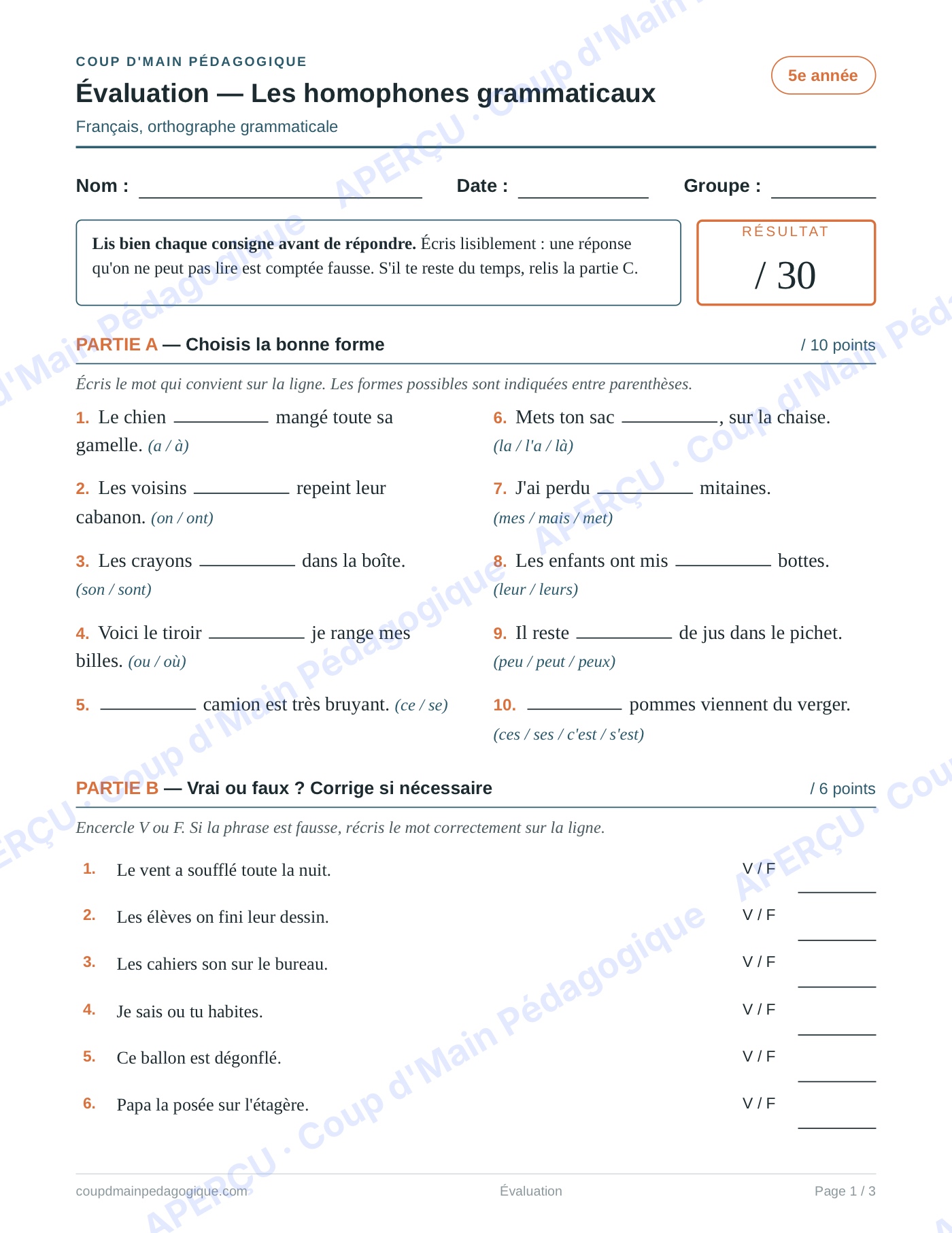 Page 1 — Les homophones grammaticaux — 5e année, évaluation