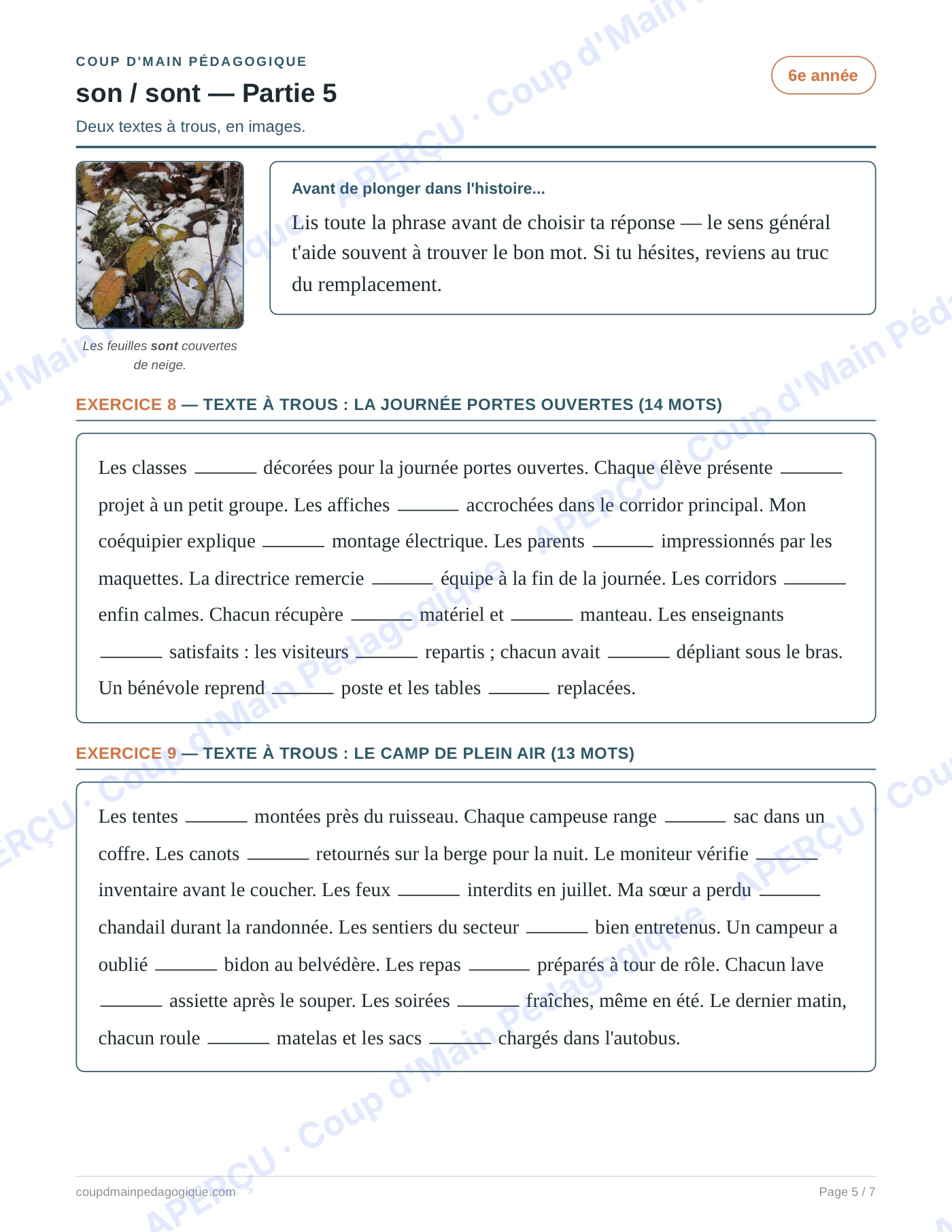 Page 5 — Les homophones son/sont — 6e année, fiche