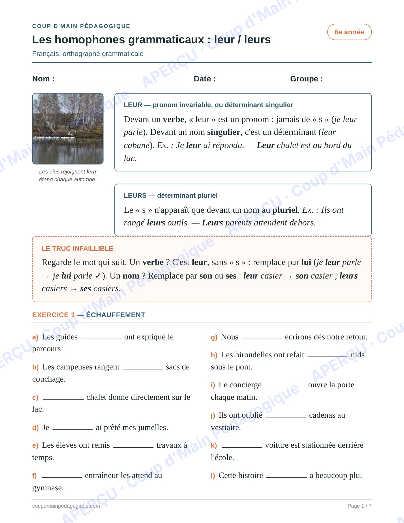 Page 1 — Les homophones leur/leurs — 6e année, fiche