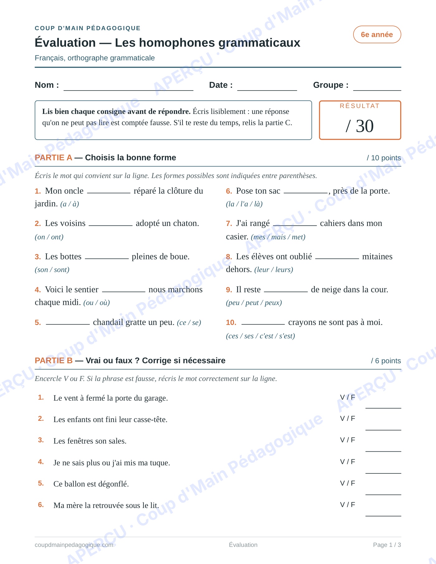 Page 1 — Les homophones grammaticaux — 6e année, évaluation