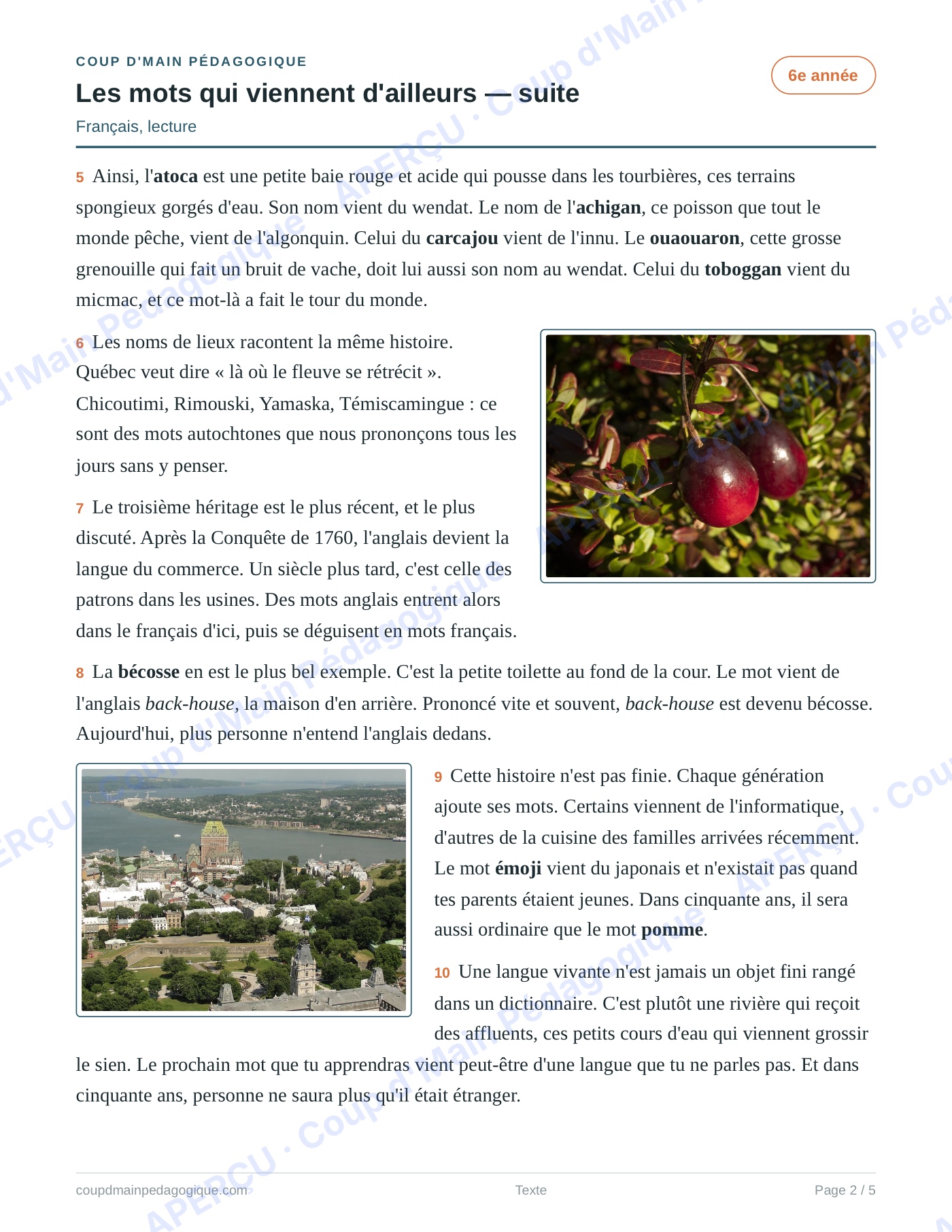 Page 2 — Les mots qui viennent d'ailleurs — 6e, lecture