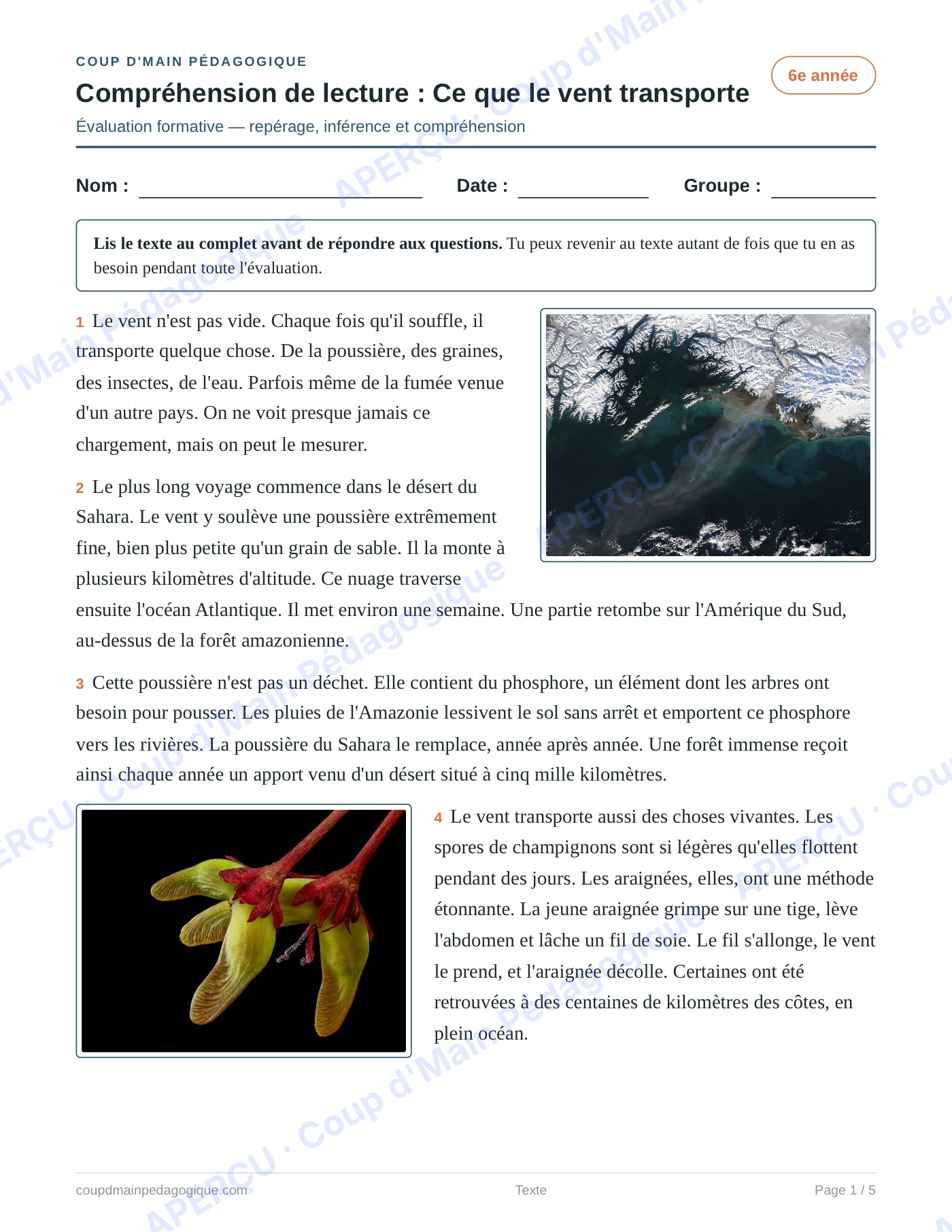 Page 1 — Évaluation formative — 6e année, lecture