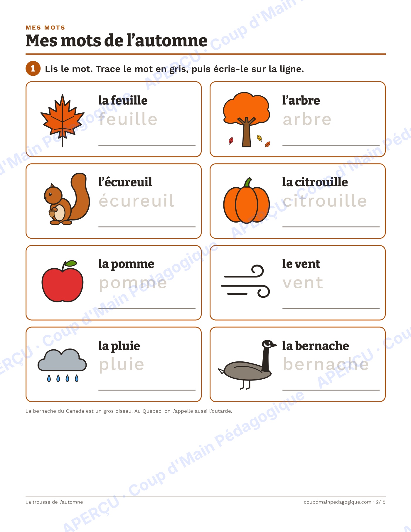 Page 5 — Les saisons et l'automne — 1re-2e année, sciences