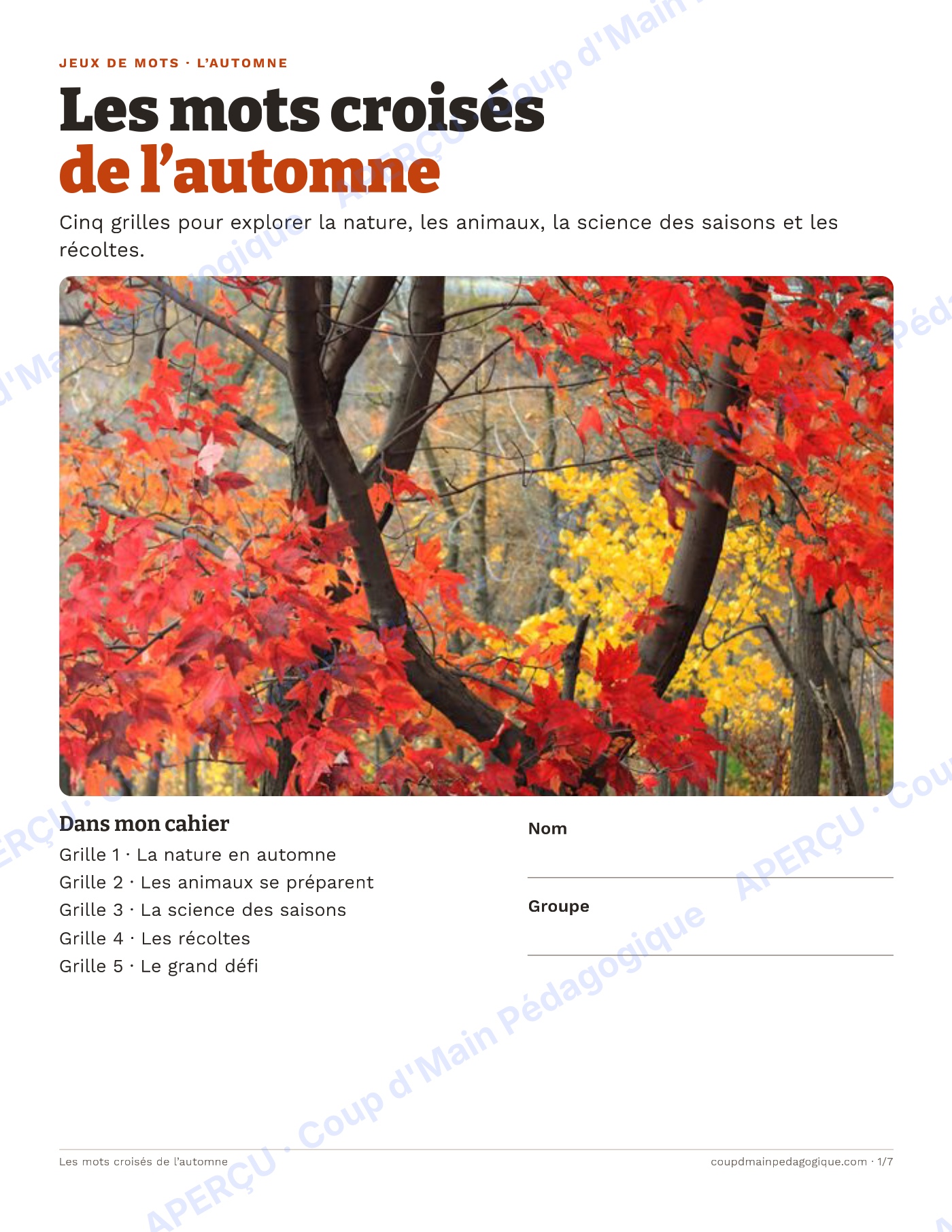 Page 1 — Les mots croisés de l'automne — 4e-6e année