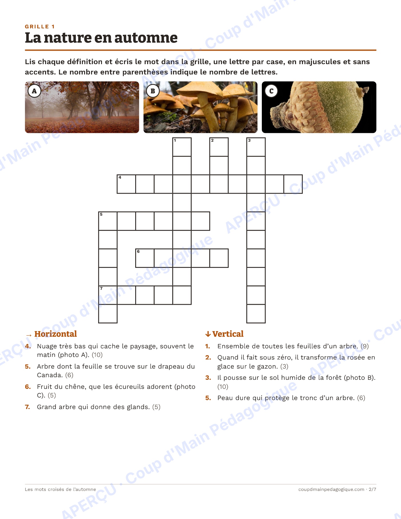Page 2 — Les mots croisés de l'automne — 4e-6e année