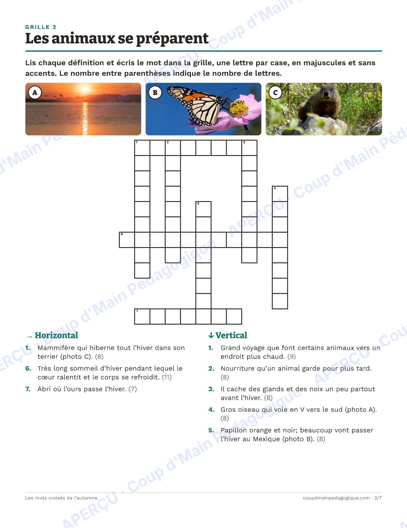 Page 3 — Les mots croisés de l'automne — 4e-6e année