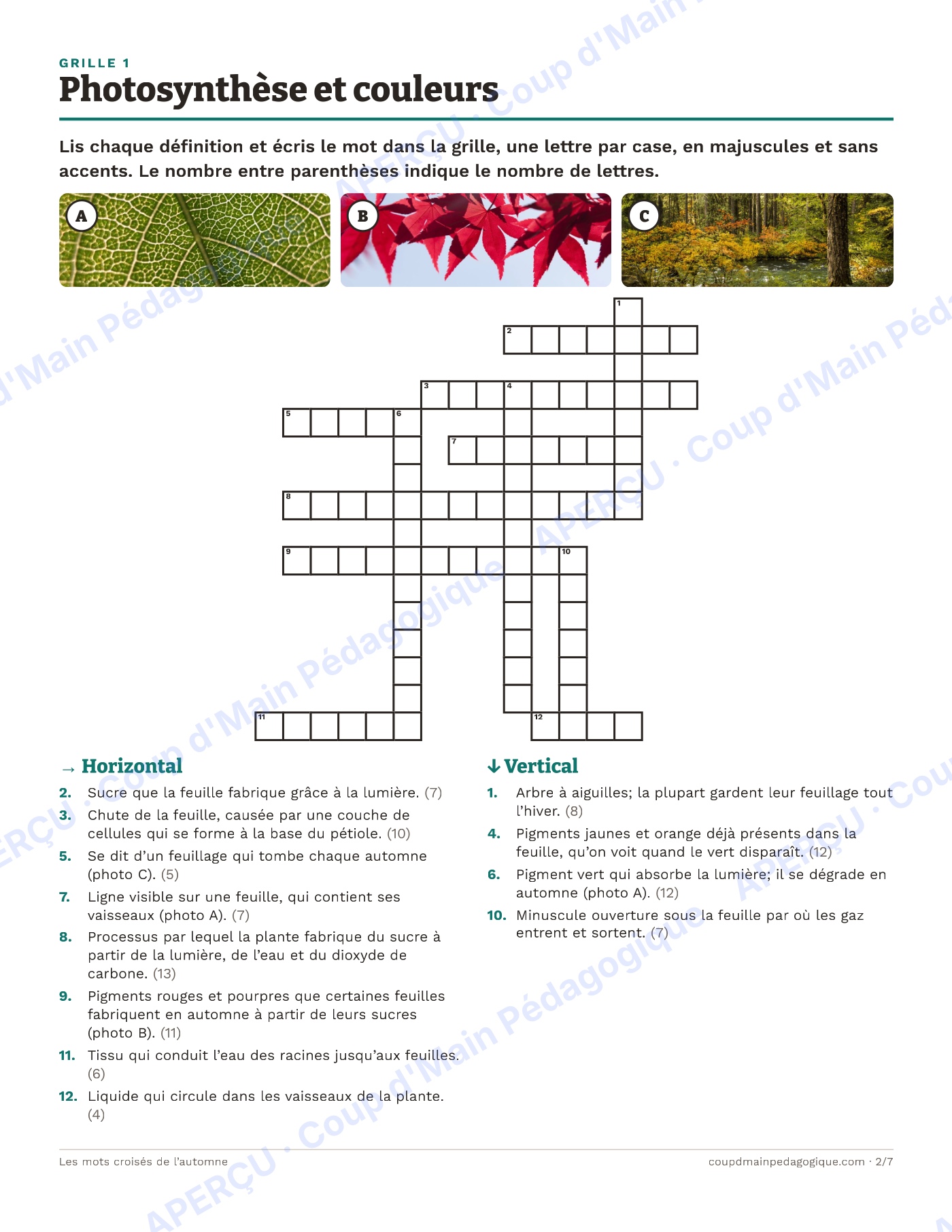 Page 2 — Les mots croisés de l'automne — 7e-9e année