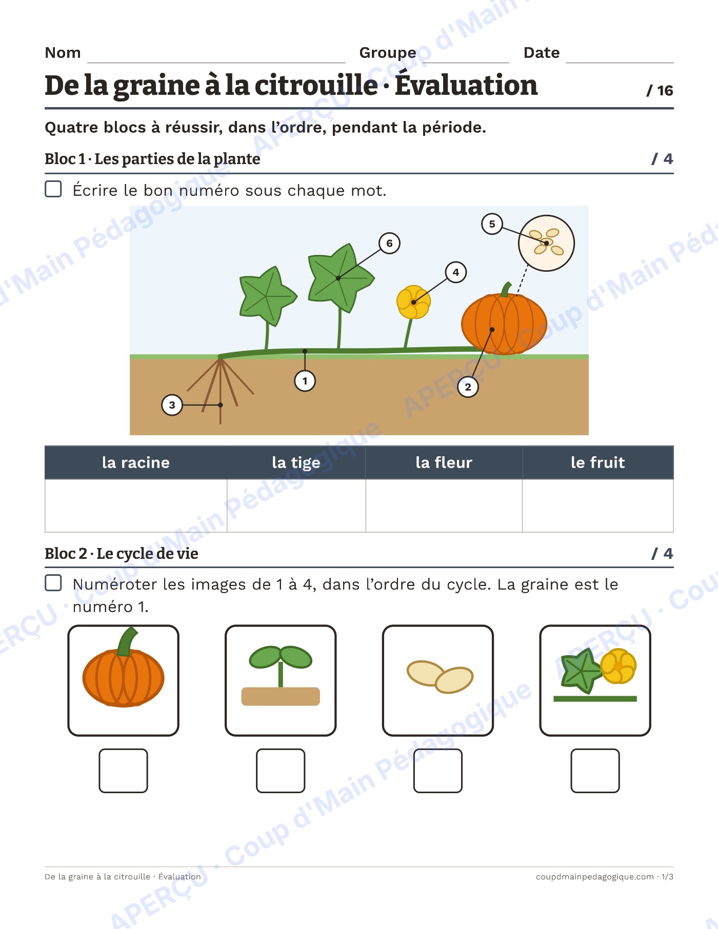 Page 1 — De la graine à la citrouille — 1re-2e, unité