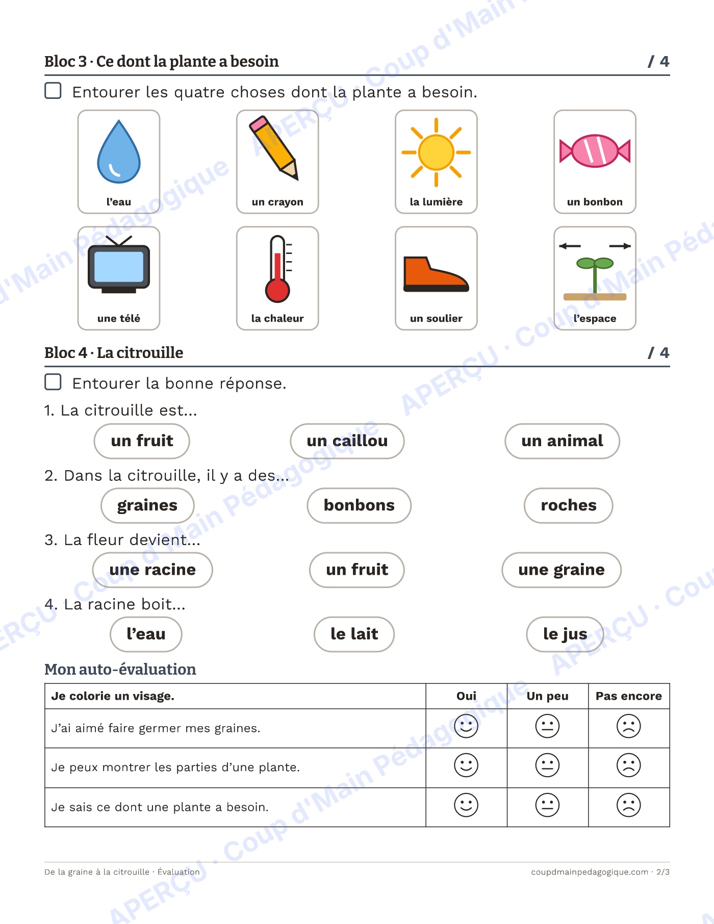 Page 2 — De la graine à la citrouille — 1re-2e, unité