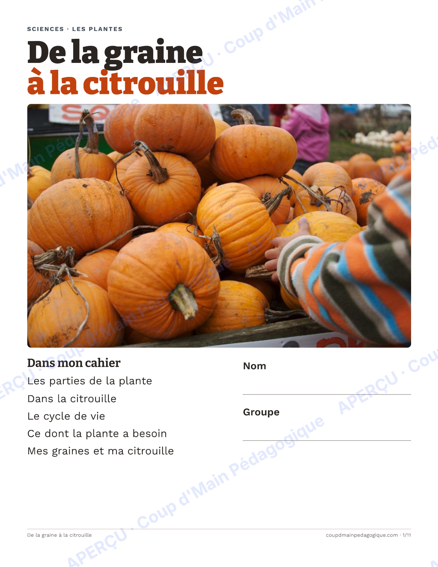 Page 4 — De la graine à la citrouille — 1re-2e, unité