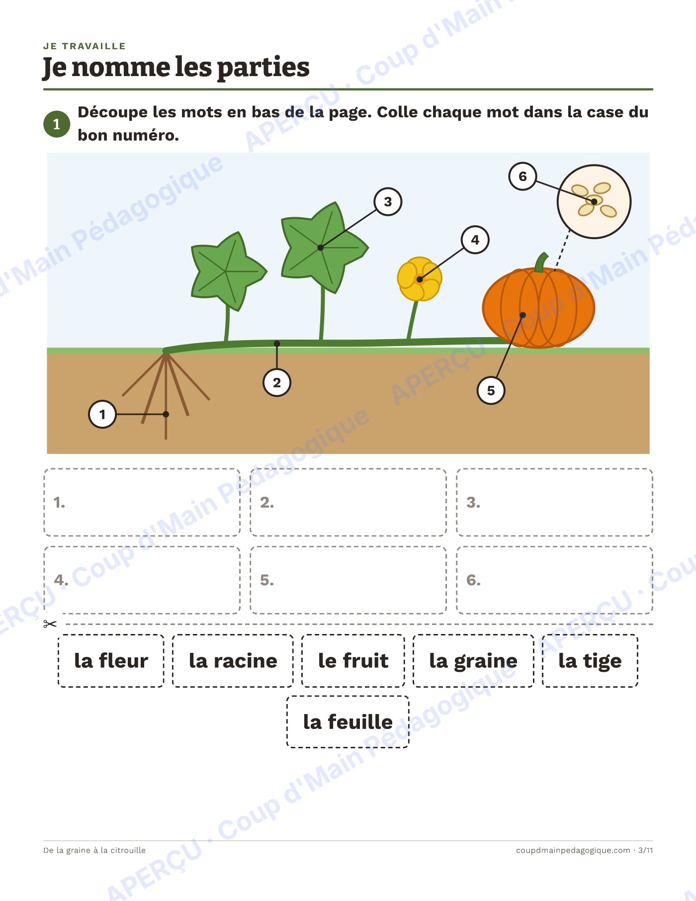 Page 6 — De la graine à la citrouille — 1re-2e, unité