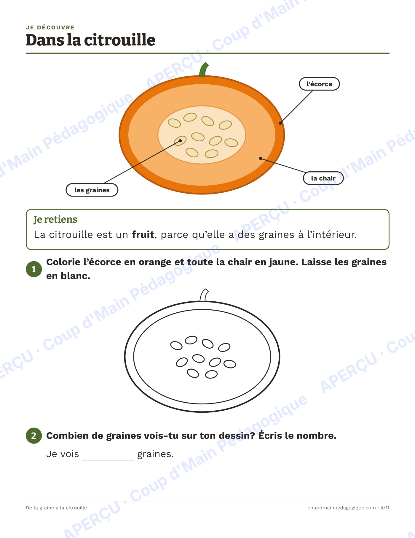 Page 7 — De la graine à la citrouille — 1re-2e, unité
