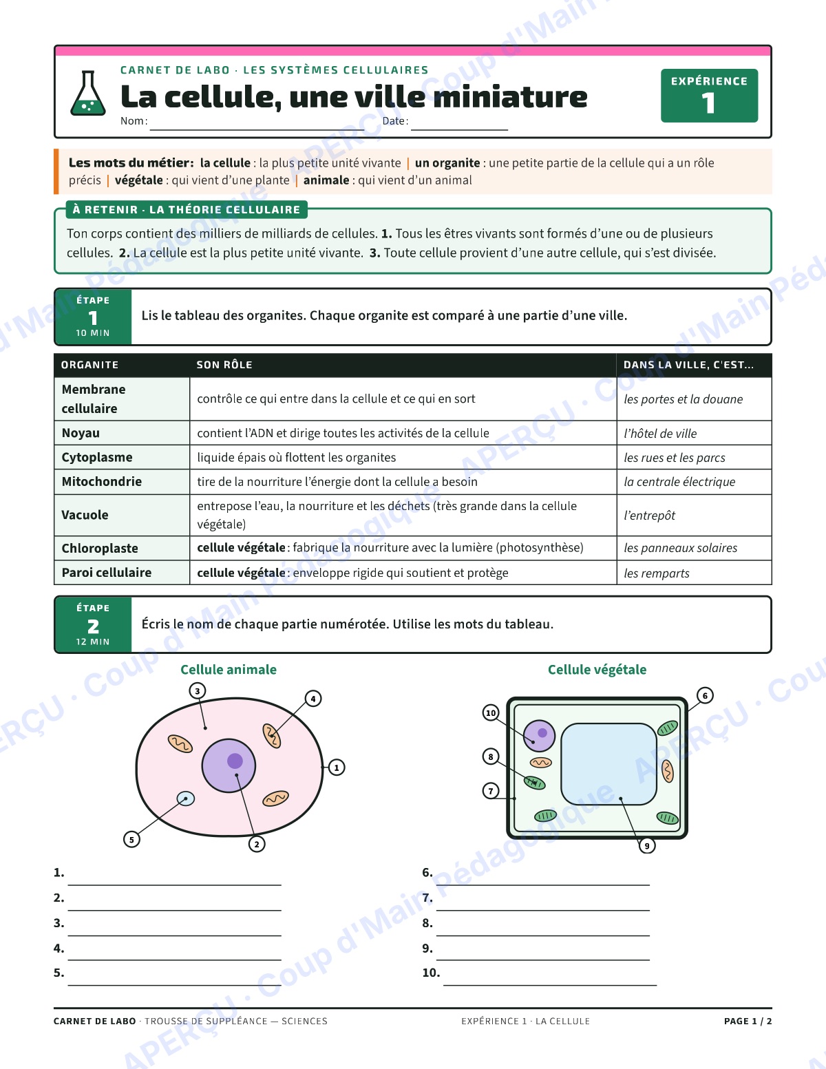 Page 1 — Carnet de labo (sciences) — 7e-8e, suppléance
