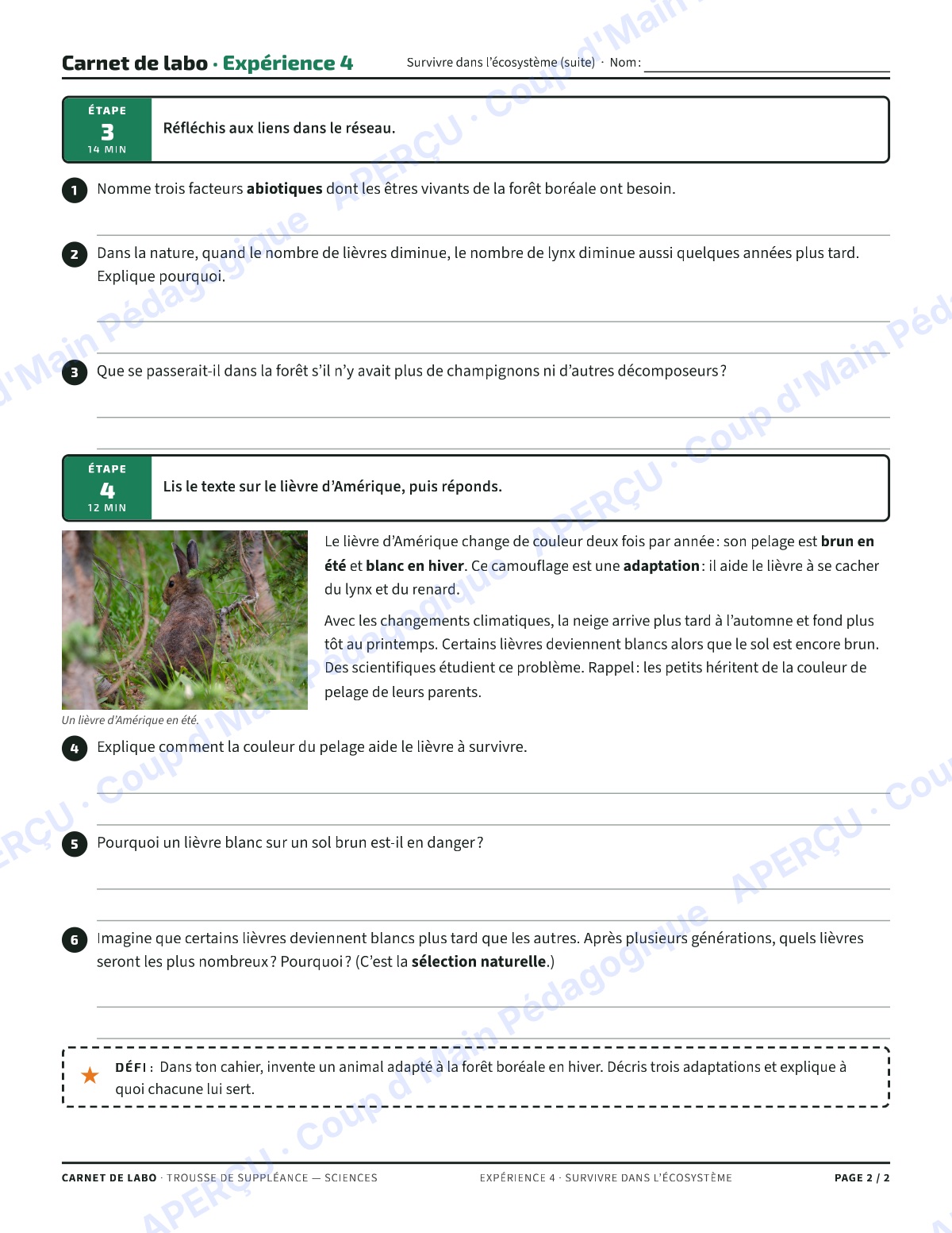 Page 8 — Carnet de labo (sciences) — 7e-8e, suppléance