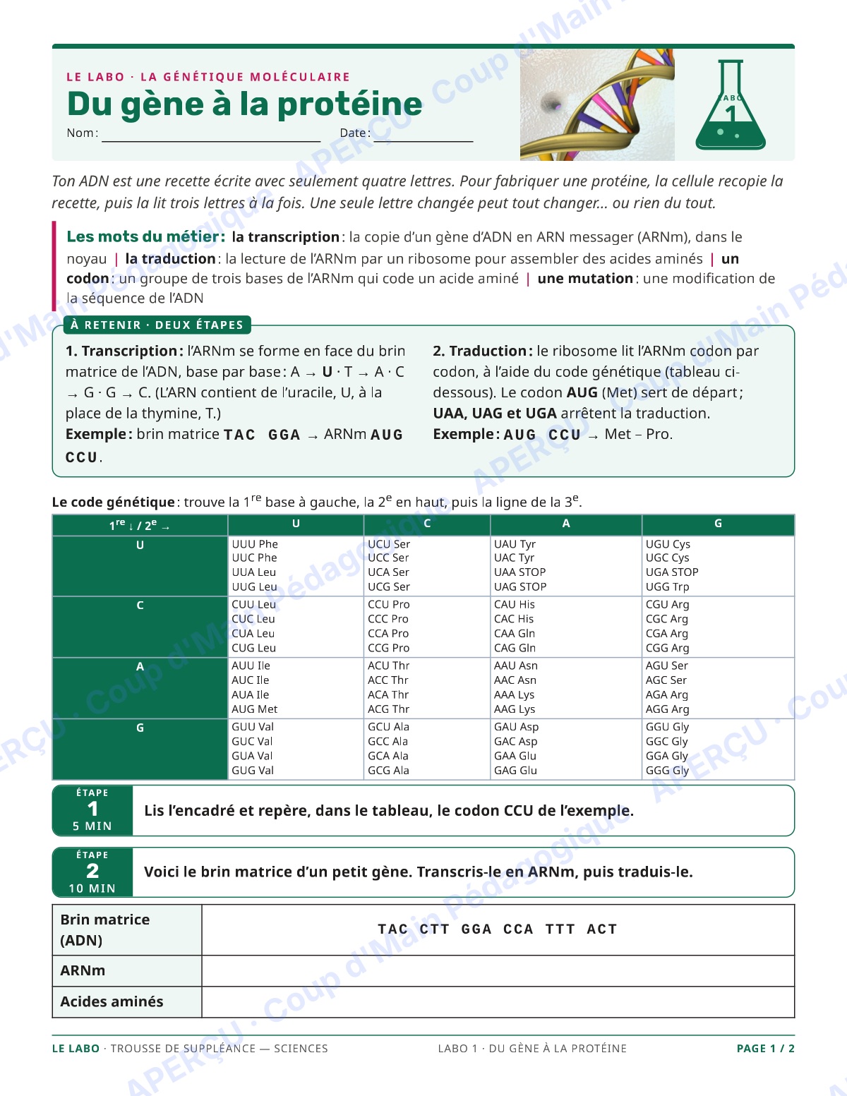 Page 1 — Sciences — 11e-12e, trousse de suppléance