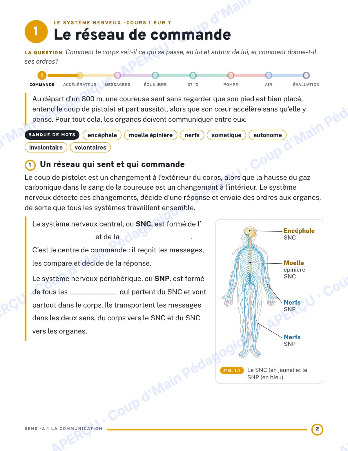 Page 2 — Communication du corps — 11e année, IB SEHS, unité