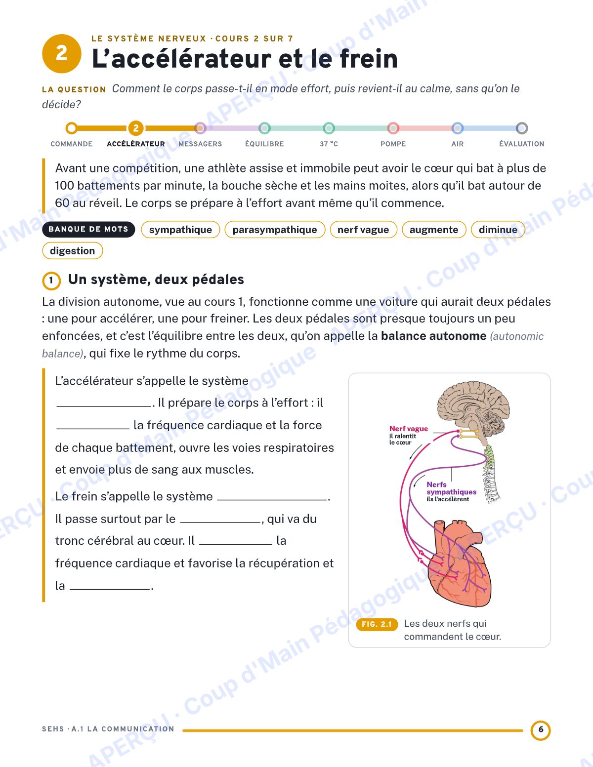 Page 6 — Communication du corps — 11e année, IB SEHS, unité