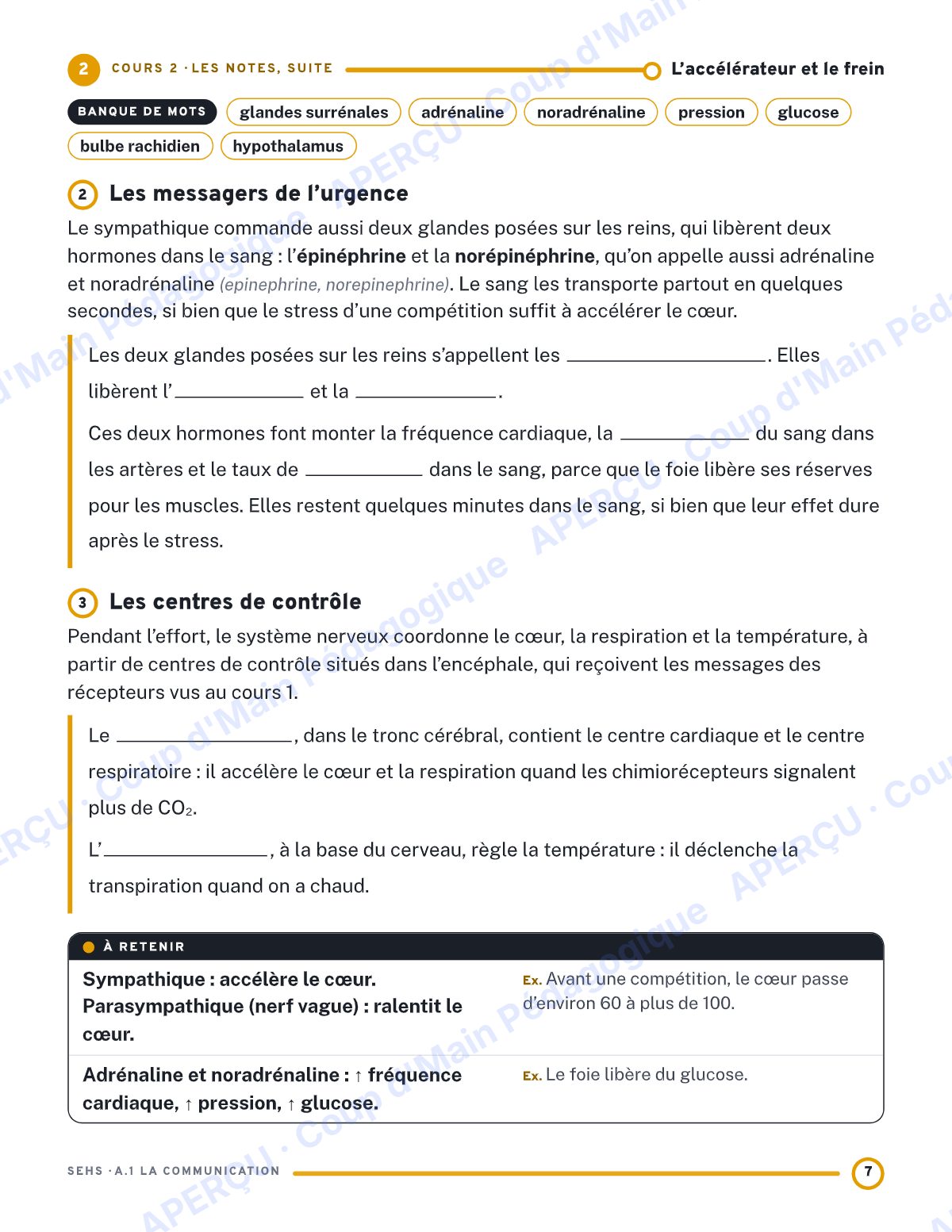Page 7 — Communication du corps — 11e année, IB SEHS, unité