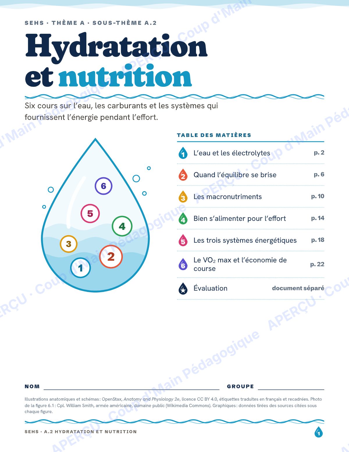 Page 1 — Hydratation et nutrition — 11e année, IB SEHS, unité