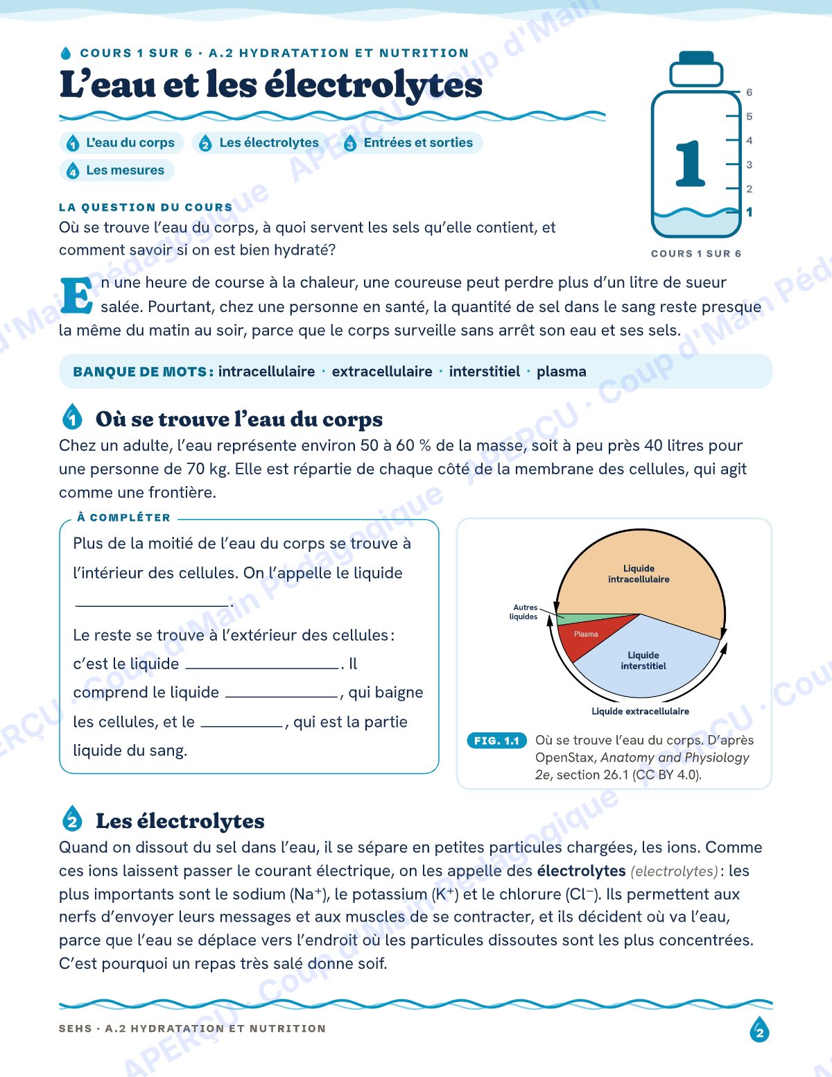 Page 2 — Hydratation et nutrition — 11e année, IB SEHS, unité