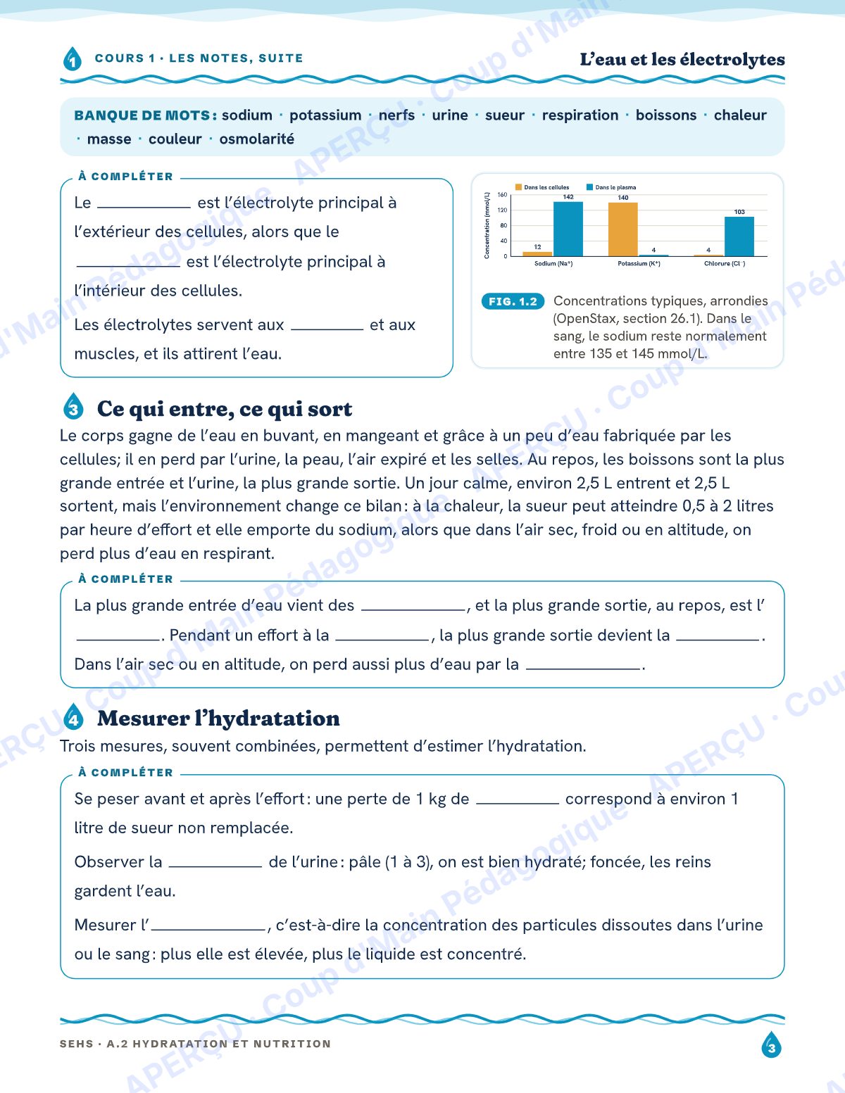 Page 3 — Hydratation et nutrition — 11e année, IB SEHS, unité