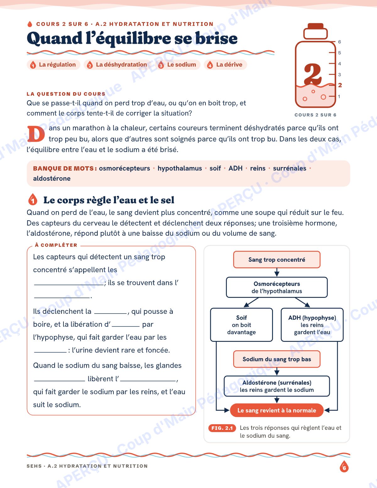 Page 6 — Hydratation et nutrition — 11e année, IB SEHS, unité