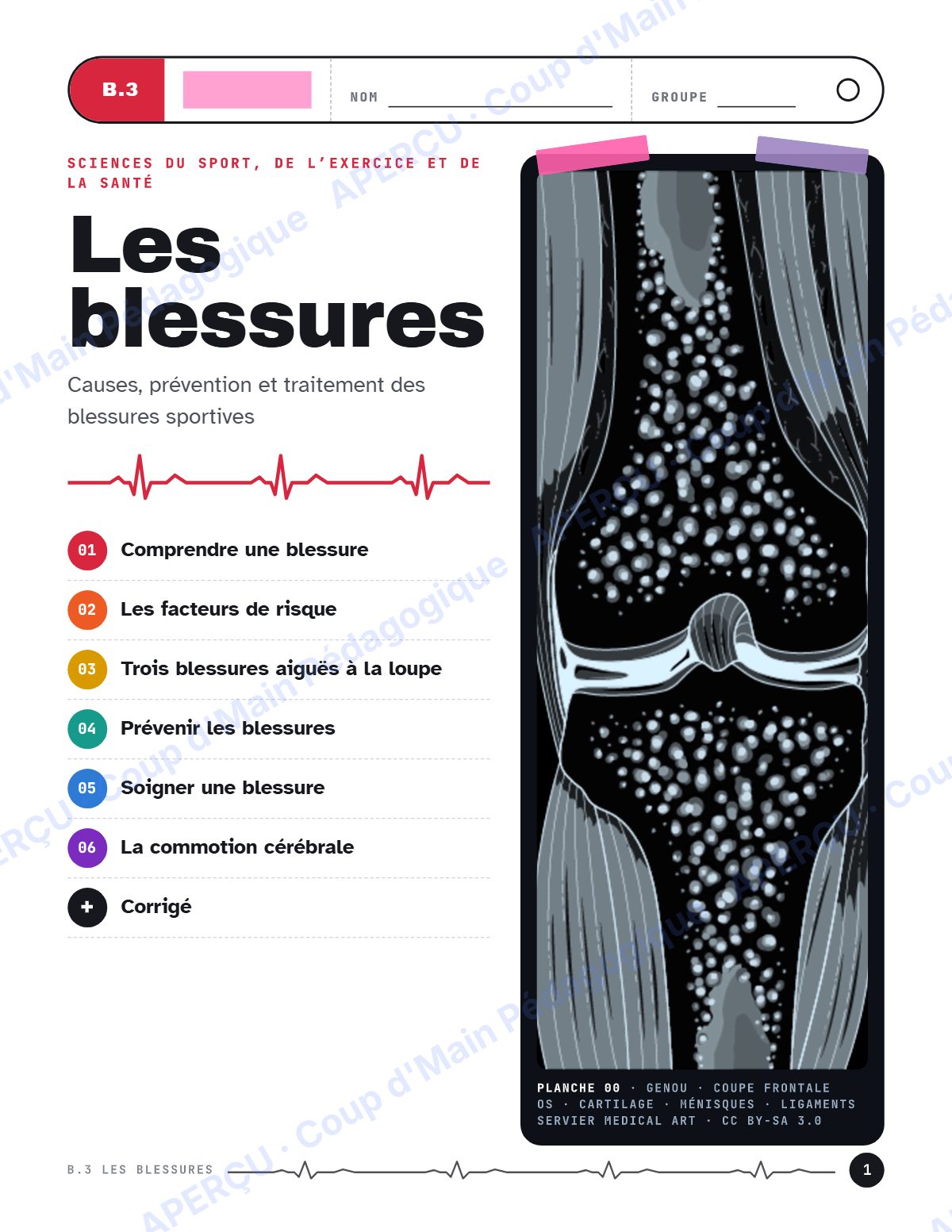 Page 1 — Blessures sportives — 11e année, IB SEHS, unité