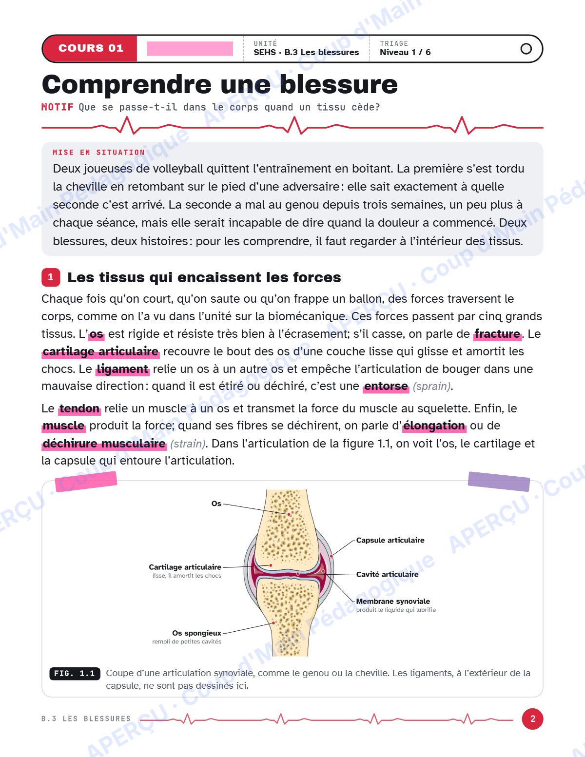 Page 2 — Blessures sportives — 11e année, IB SEHS, unité