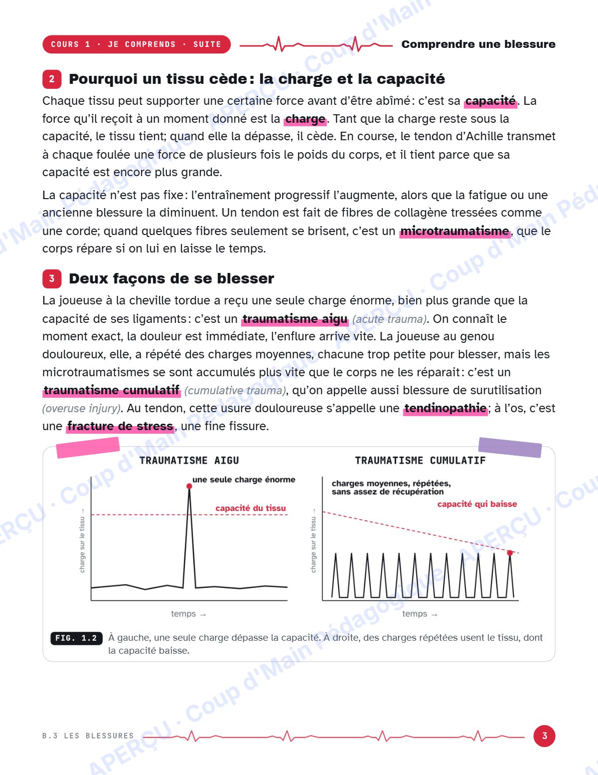 Page 3 — Blessures sportives — 11e année, IB SEHS, unité