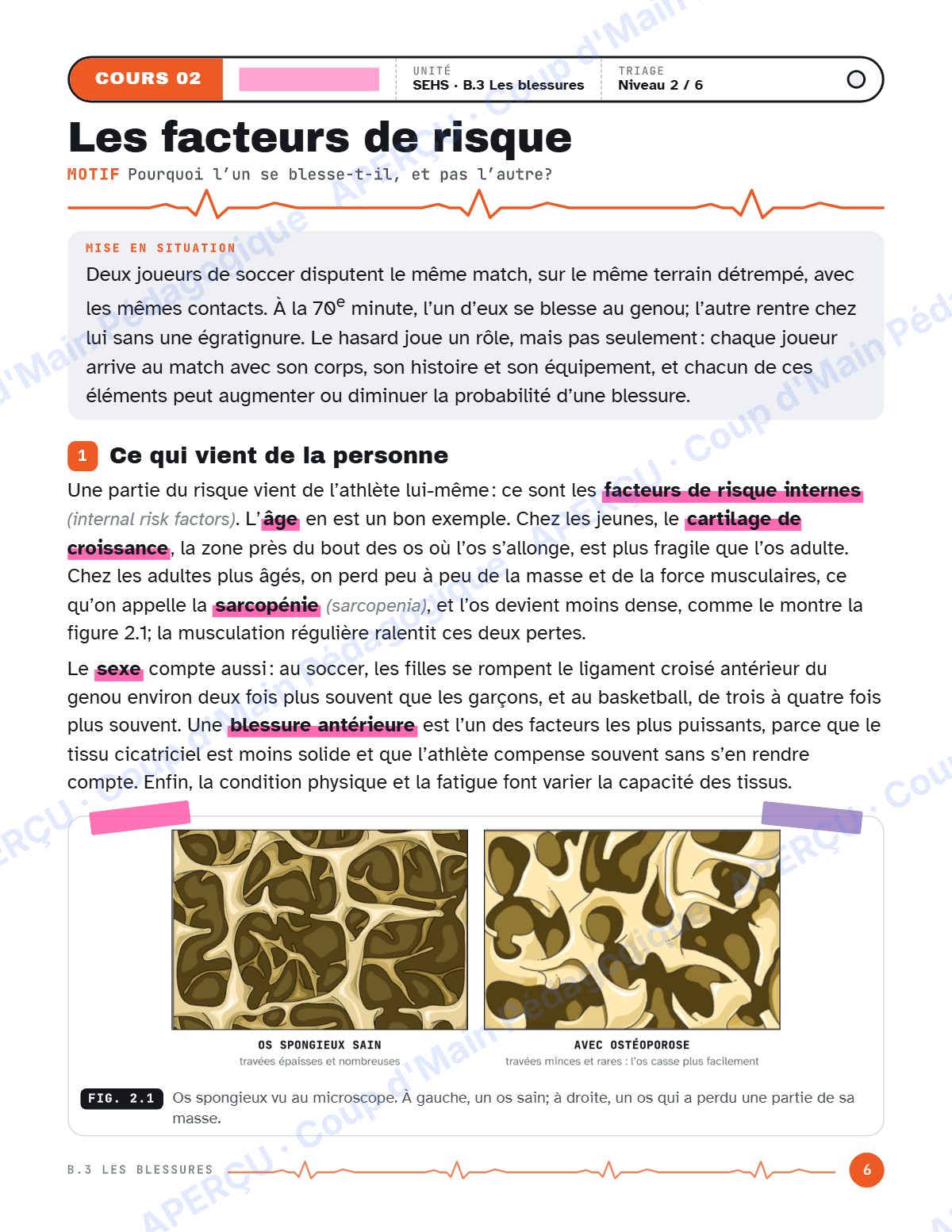 Page 6 — Blessures sportives — 11e année, IB SEHS, unité