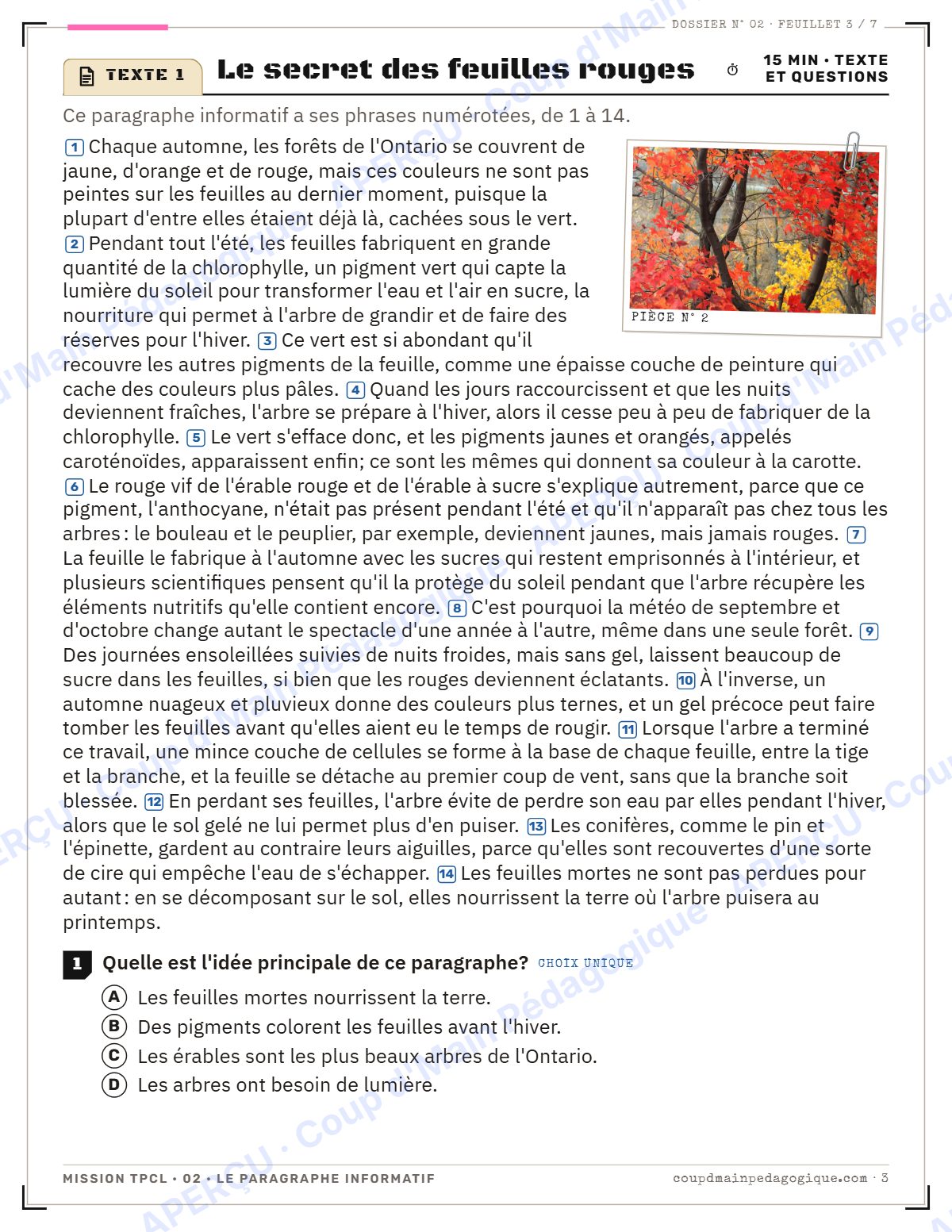 Page 3 — Mission TPCL 2 : le paragraphe informatif — 10e année
