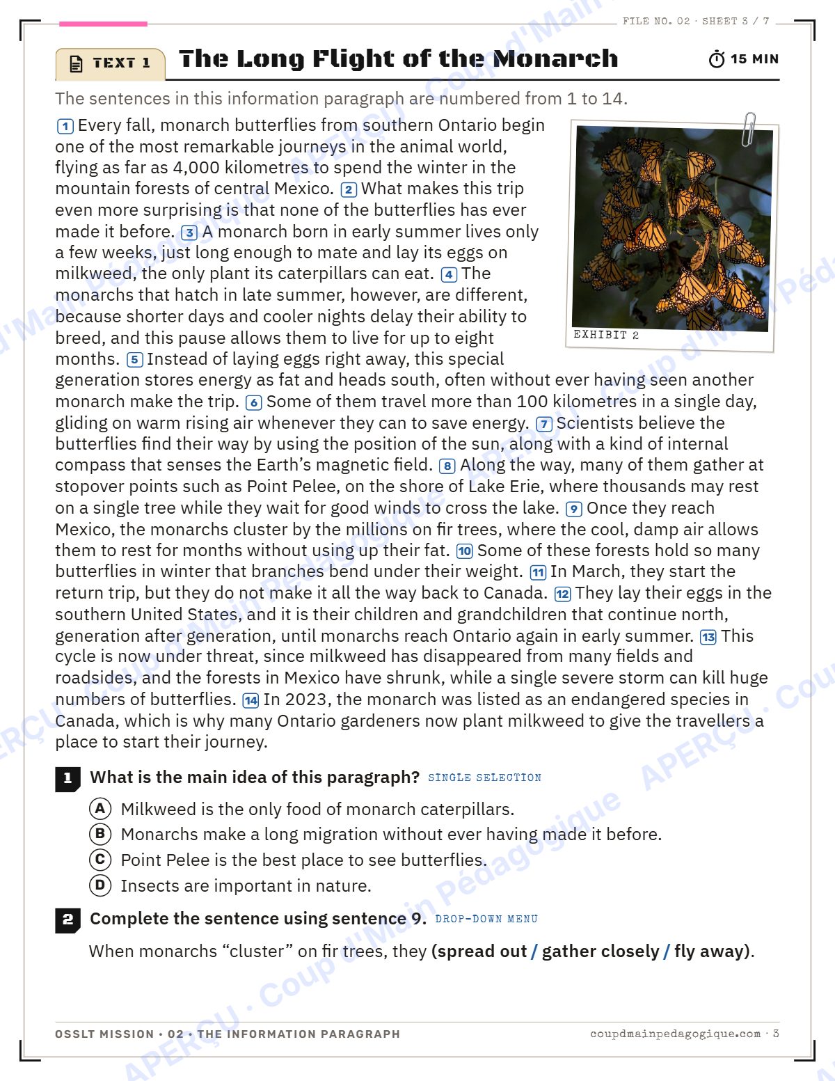 Page 3 — OSSLT Mission 2 : The Information Paragraph — 10e année