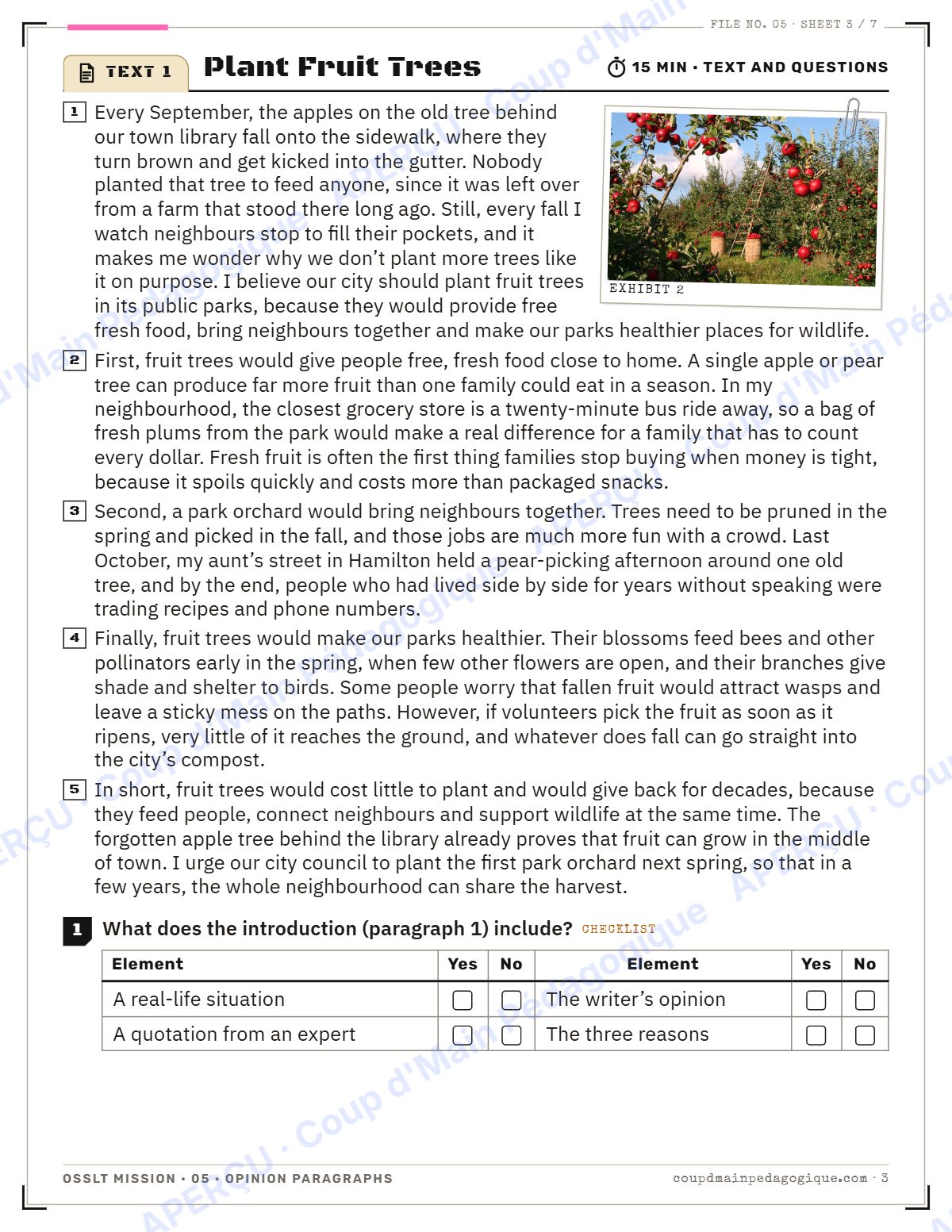 Page 3 — OSSLT Mission 5 : Opinion Paragraphs — 10e année