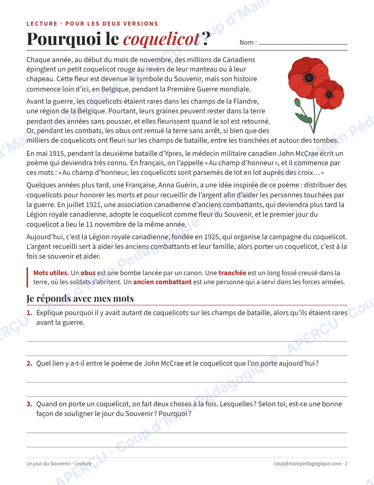 Page 2 — Mots cachés et croisés du Souvenir — 4e-8e année, jeux