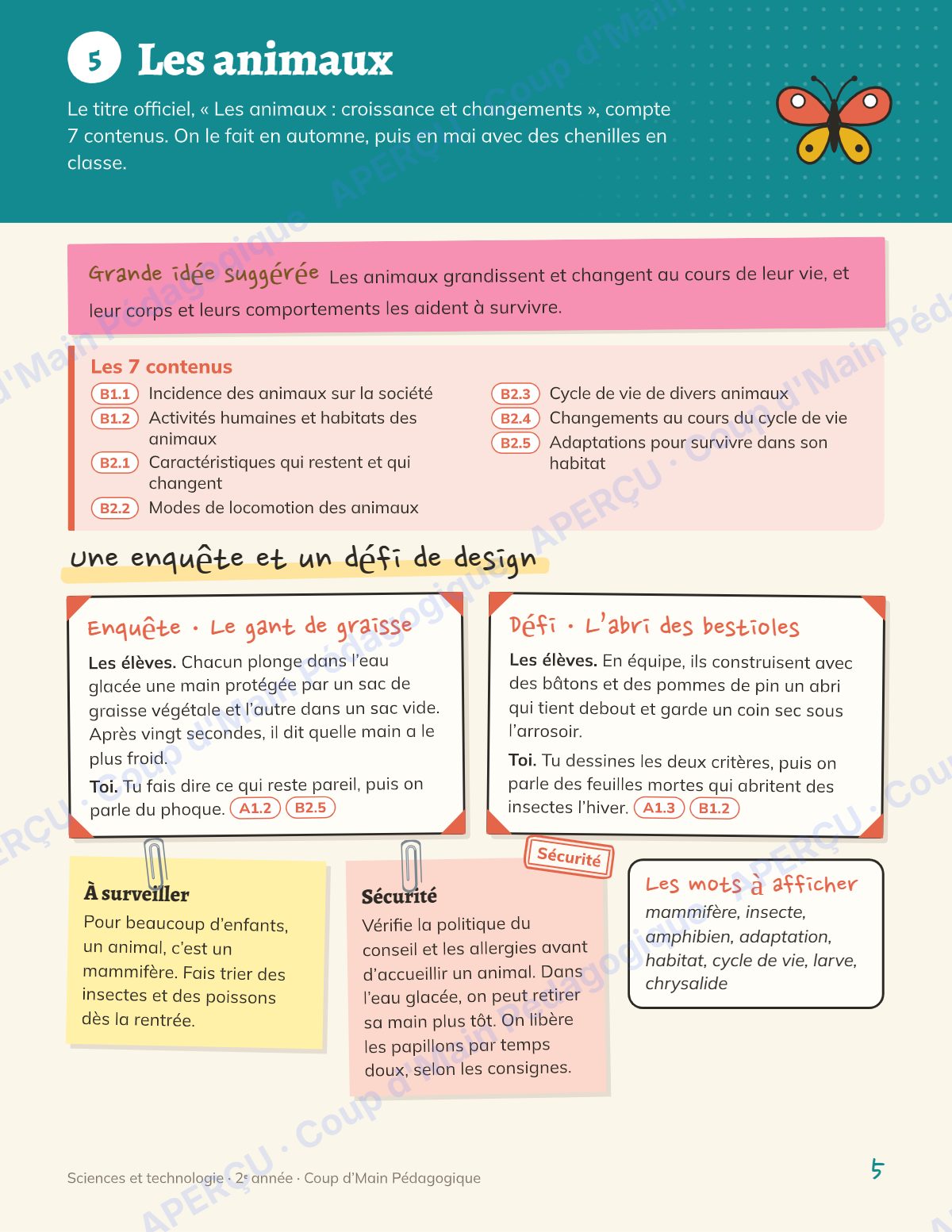 Page 5 — Planification annuelle Sciences — 2e année