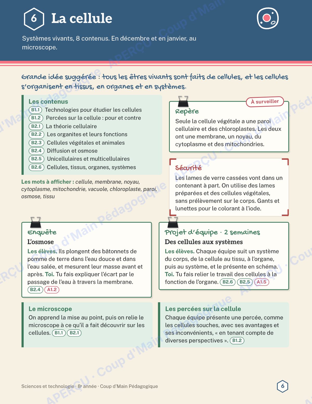 Page 6 — Planification annuelle Sciences — 8e année