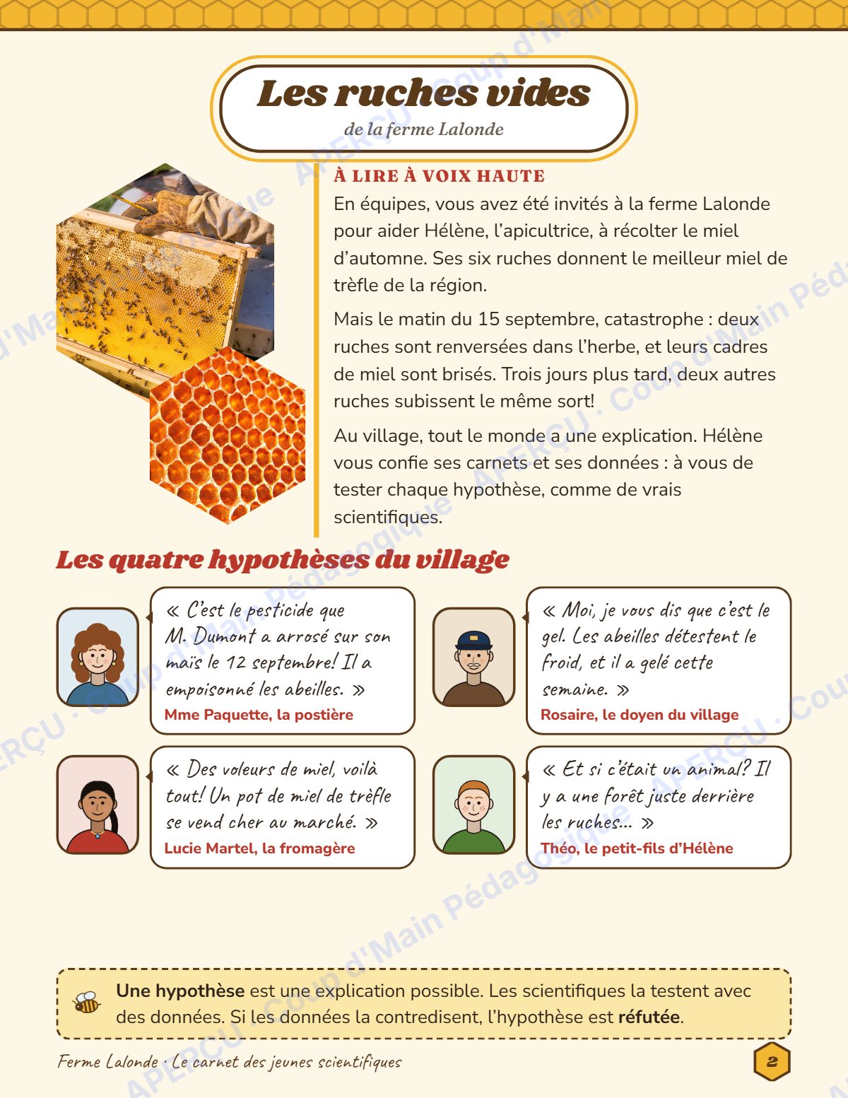 Page 2 — Enquête mathématique — 6e année, les ruches vides