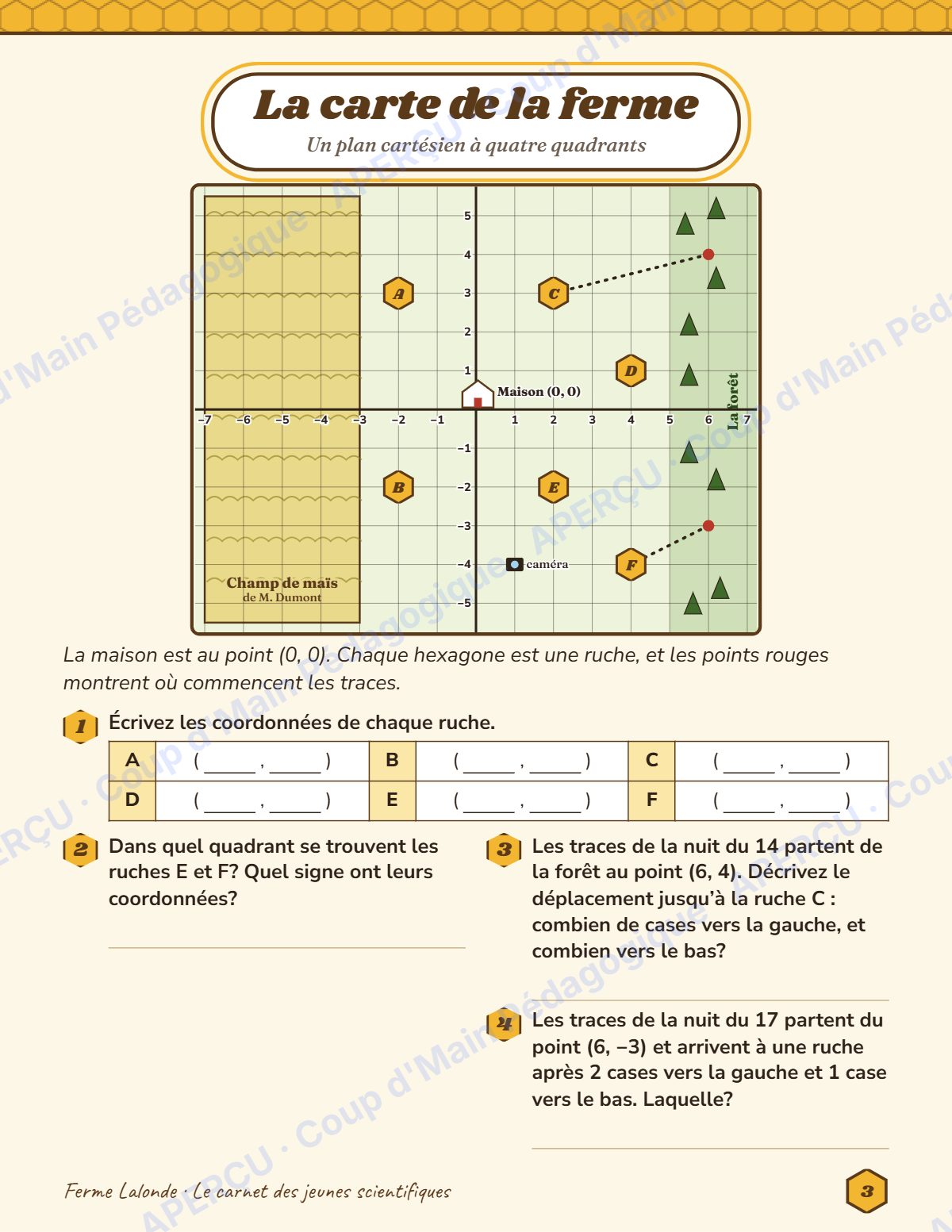 Page 3 — Enquête mathématique — 6e année, les ruches vides
